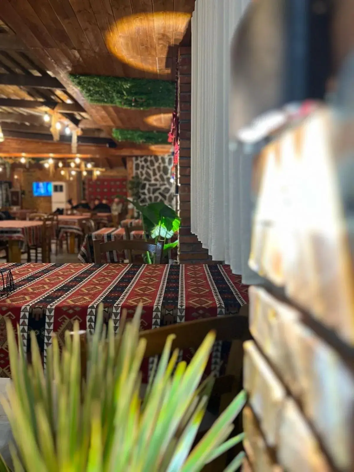 TE BUJTINA HOTEL- Cozy Stay with Traditional Breakfast Near Beach TE BUJTINA HOTEL- Cozy Stay with Traditional Breakfast Near Beach