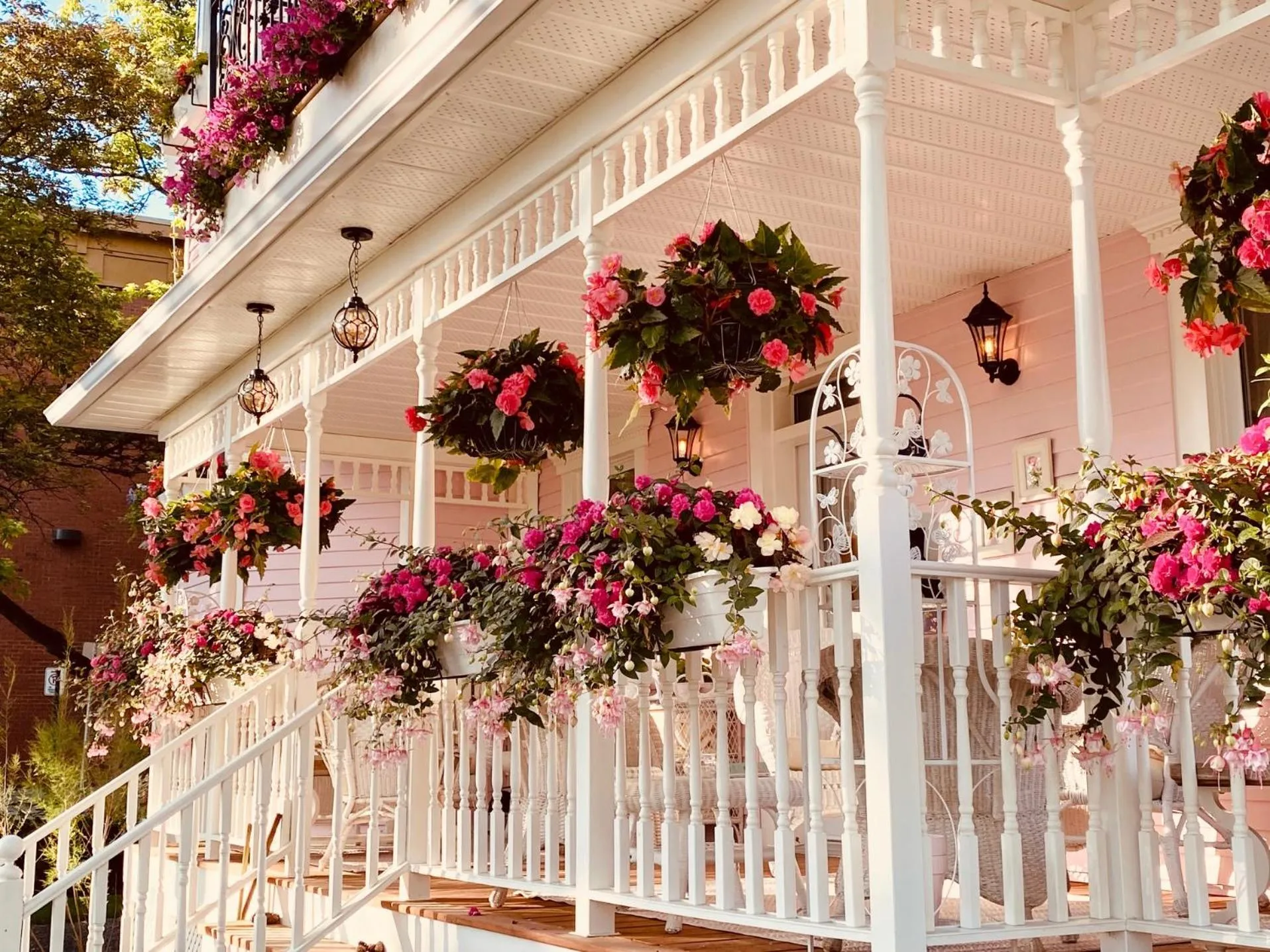 Patio in Maison Rose