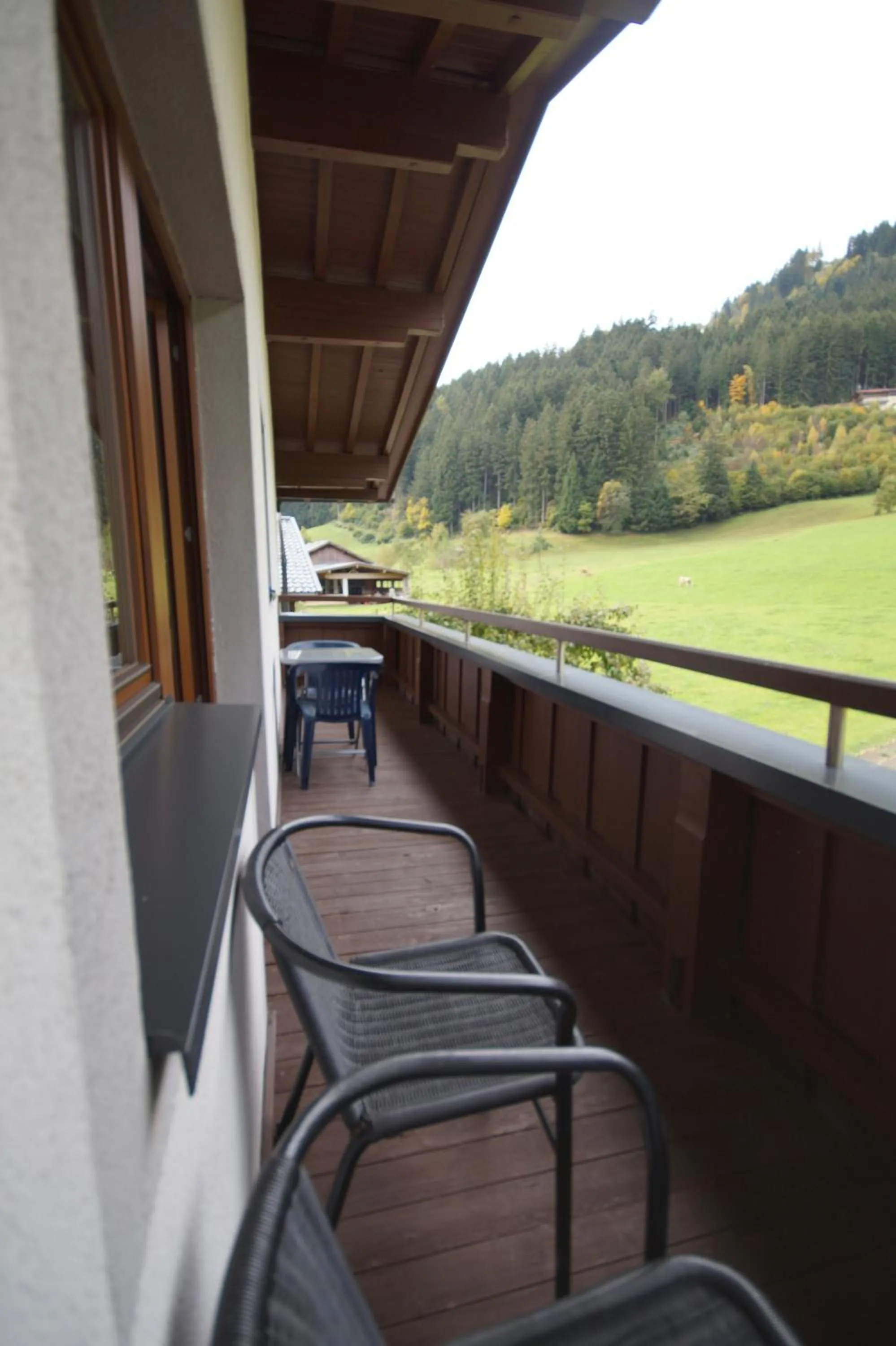 Balcony/Terrace in Appartement Gästehaus Aloisia
