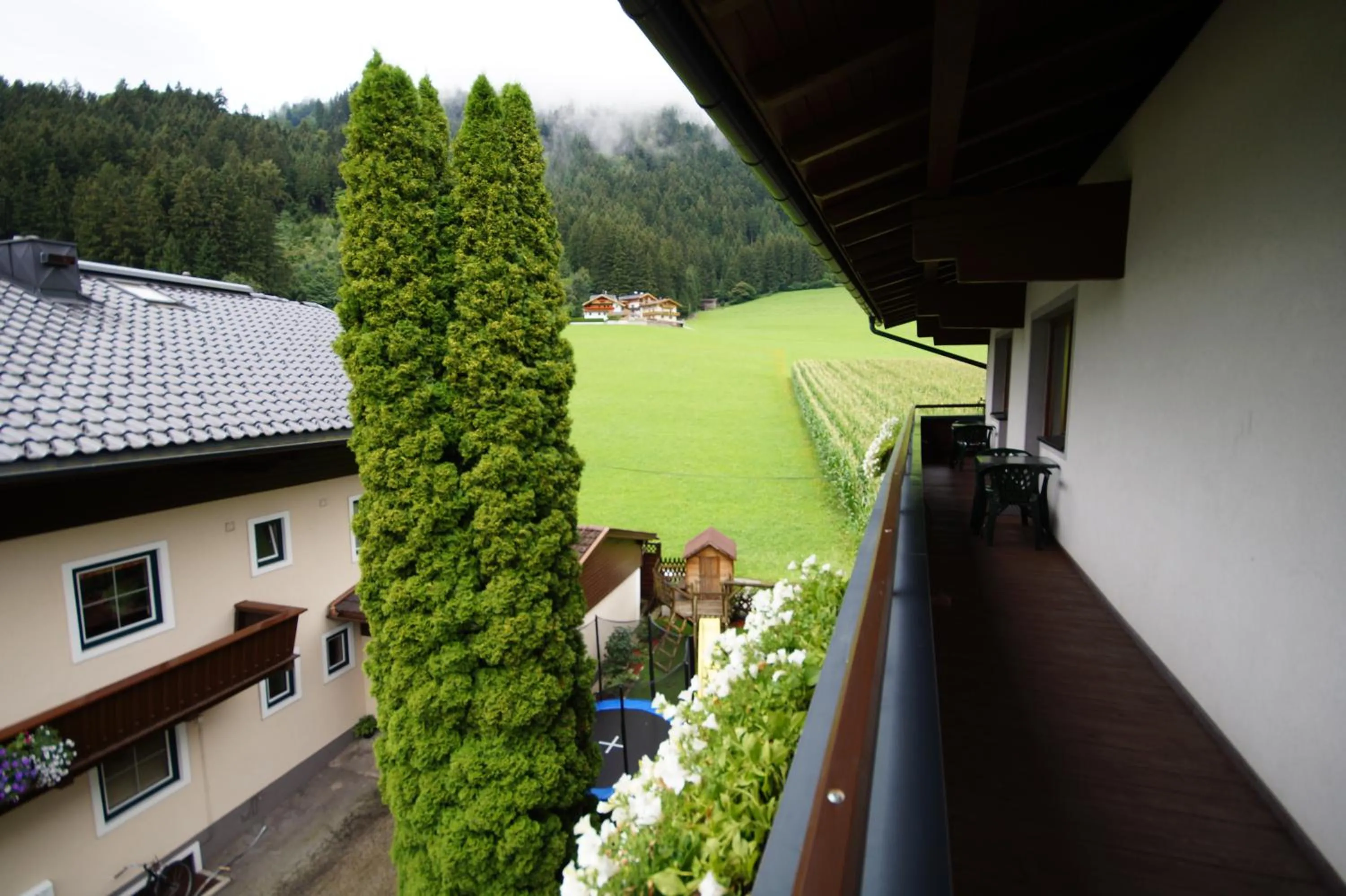 Balcony/Terrace in Appartement Gästehaus Aloisia