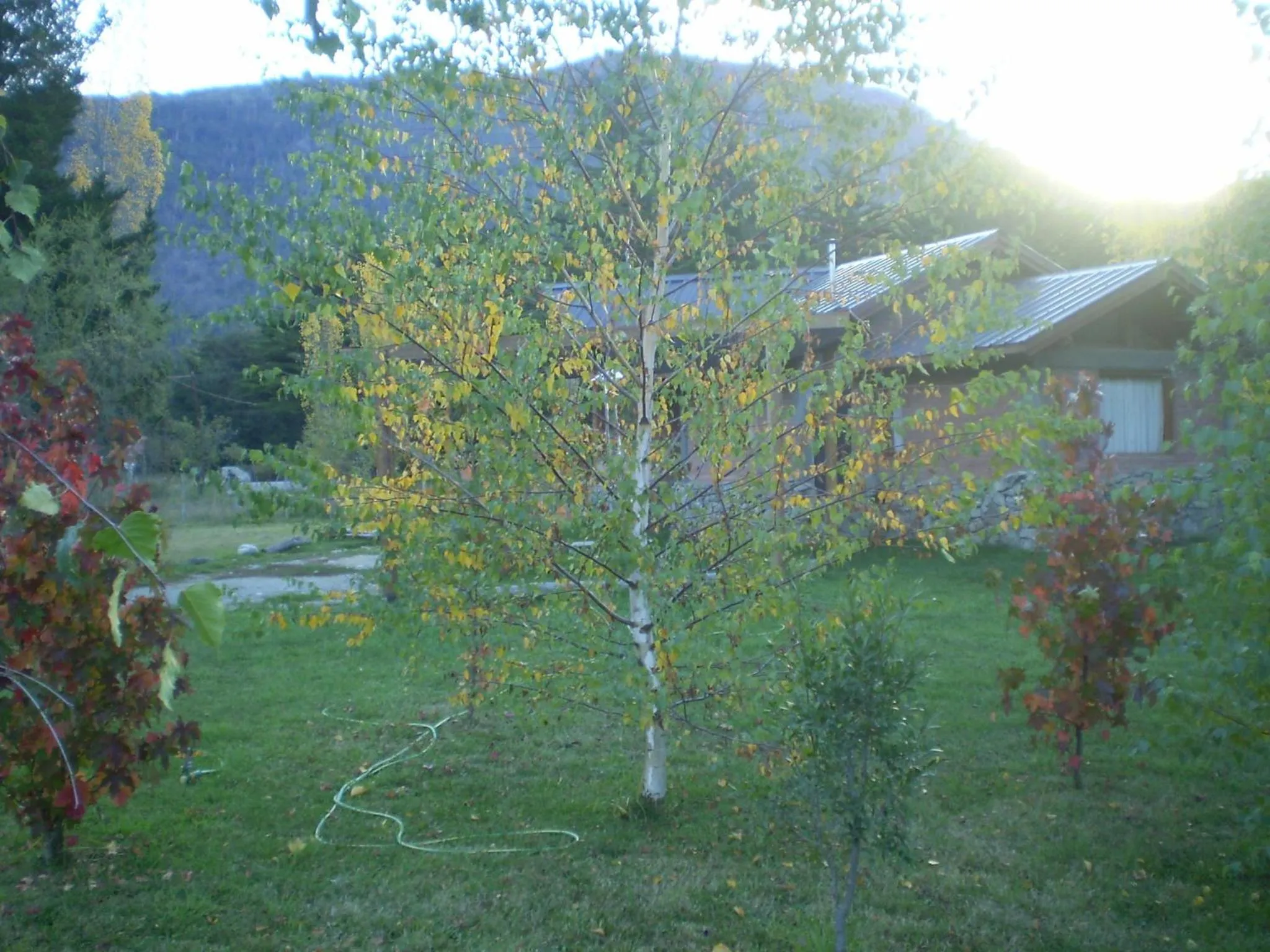 Cabañas Hueney