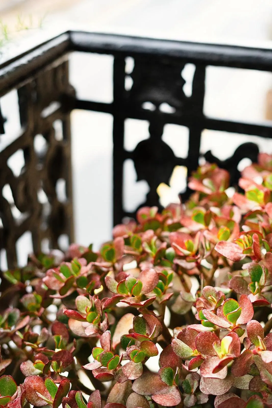Balcony/Terrace in Hotel Okako San Sebastian