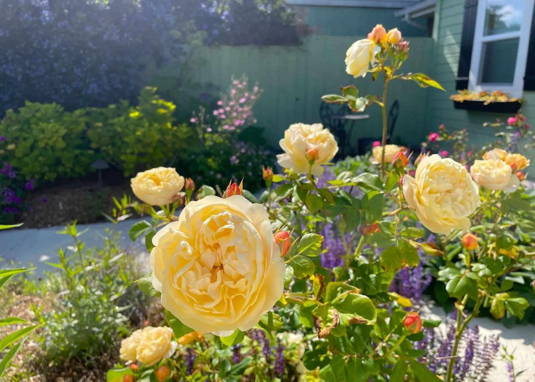 The Edenwild Boutique Inn