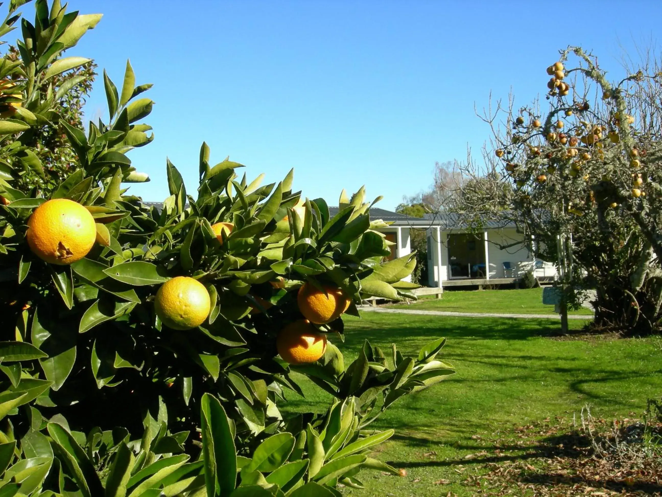 Double Room with Private Bathroom in White Elephant Accomodation Double Room with Private Bathroom in White Elephant Accomodation