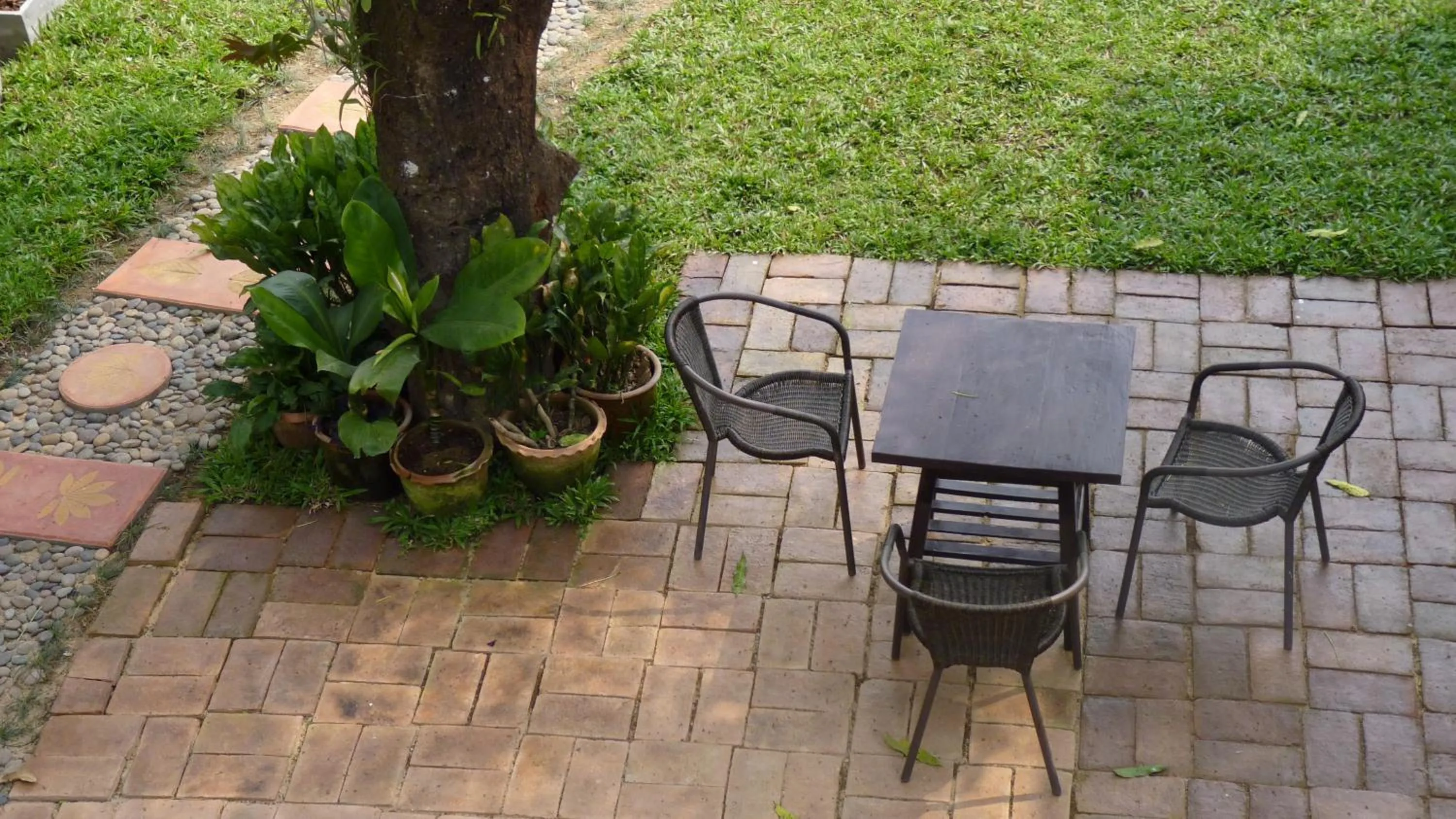 Bird's eye view in Pak Ping Rim Khong