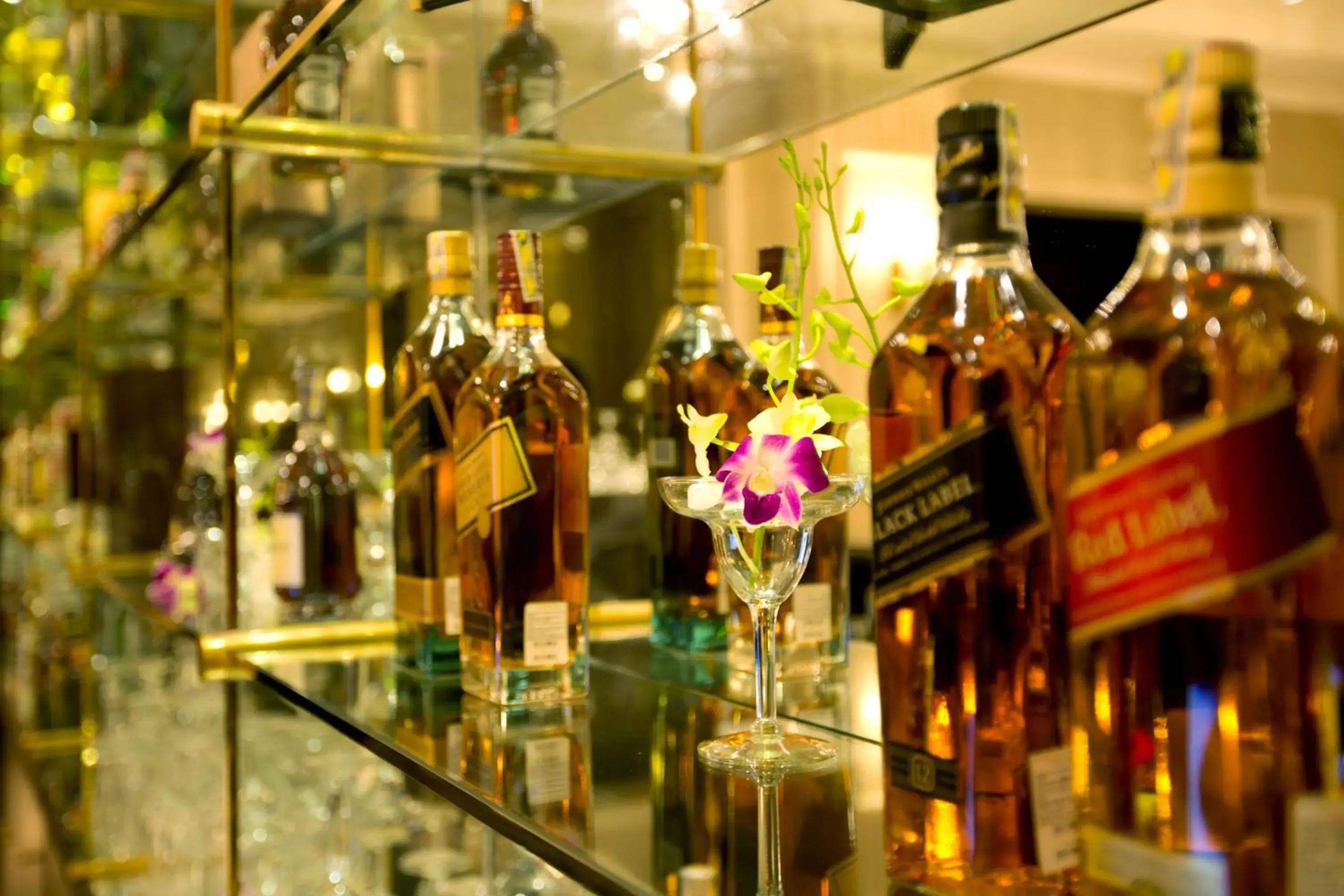 Lounge or bar in Eldora Hotel Lounge or bar in Eldora Hotel