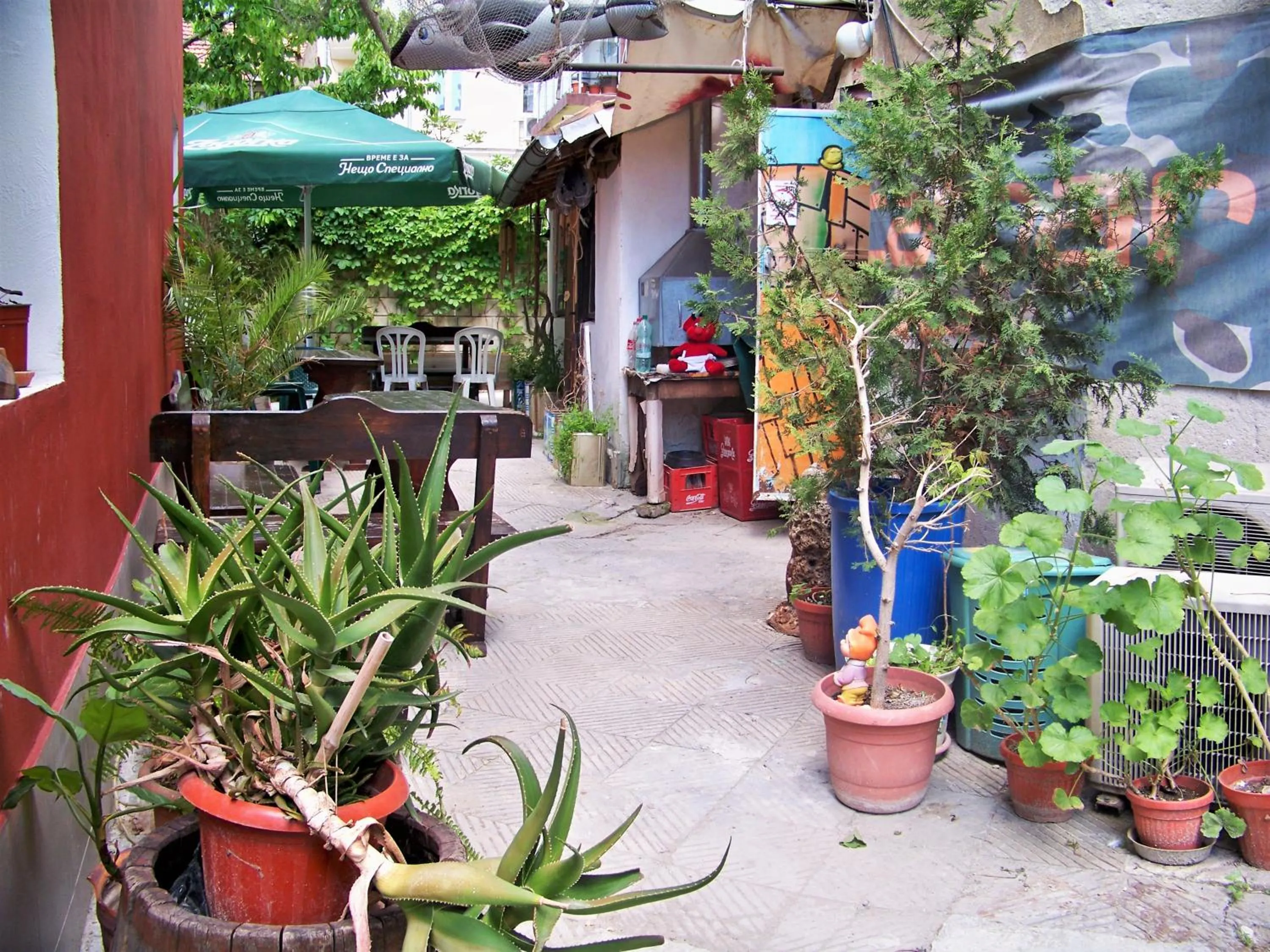 Patio in Yo Ho Hostel