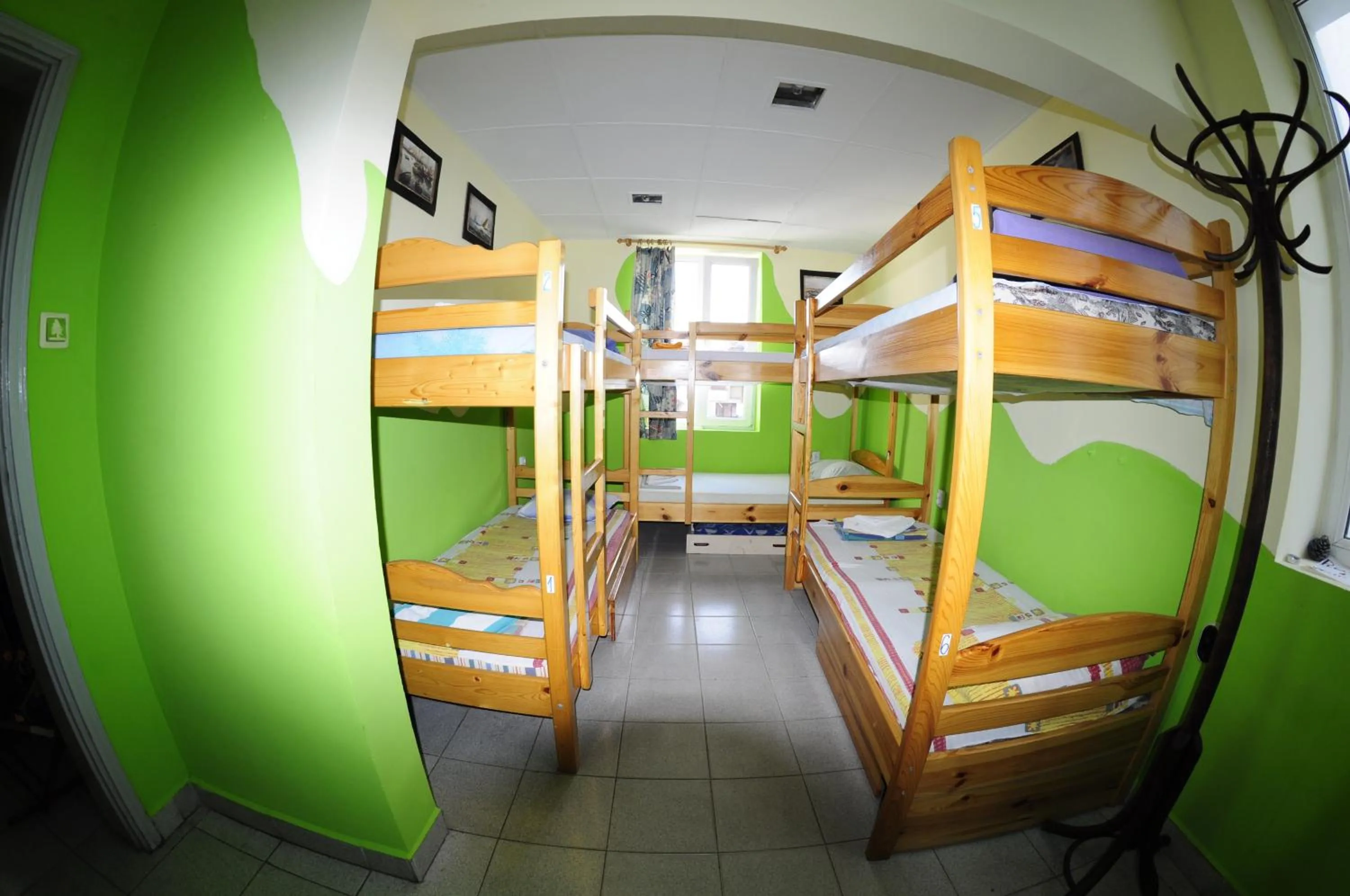 Day, Bed in Yo Ho Hostel