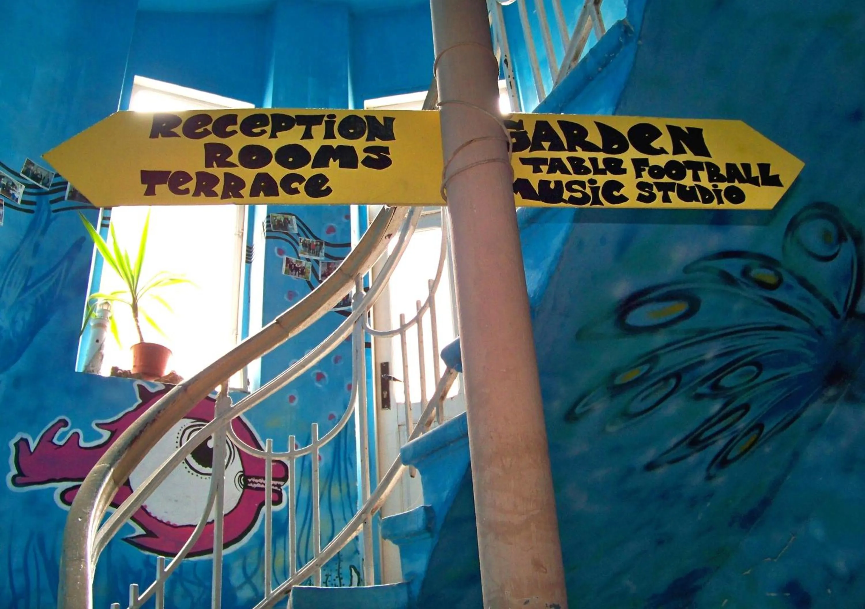 Patio in Yo Ho Hostel