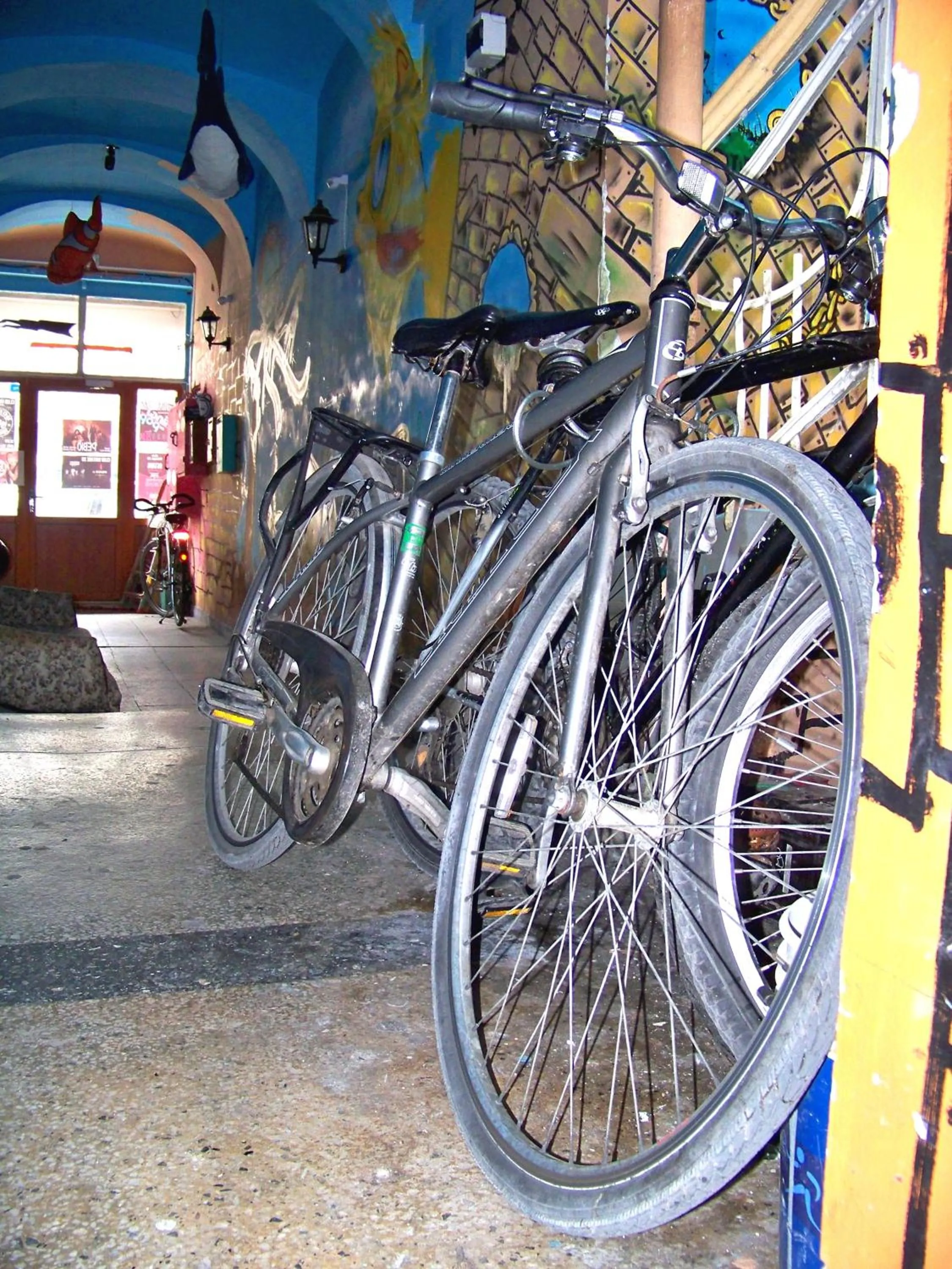Cycling in Yo Ho Hostel