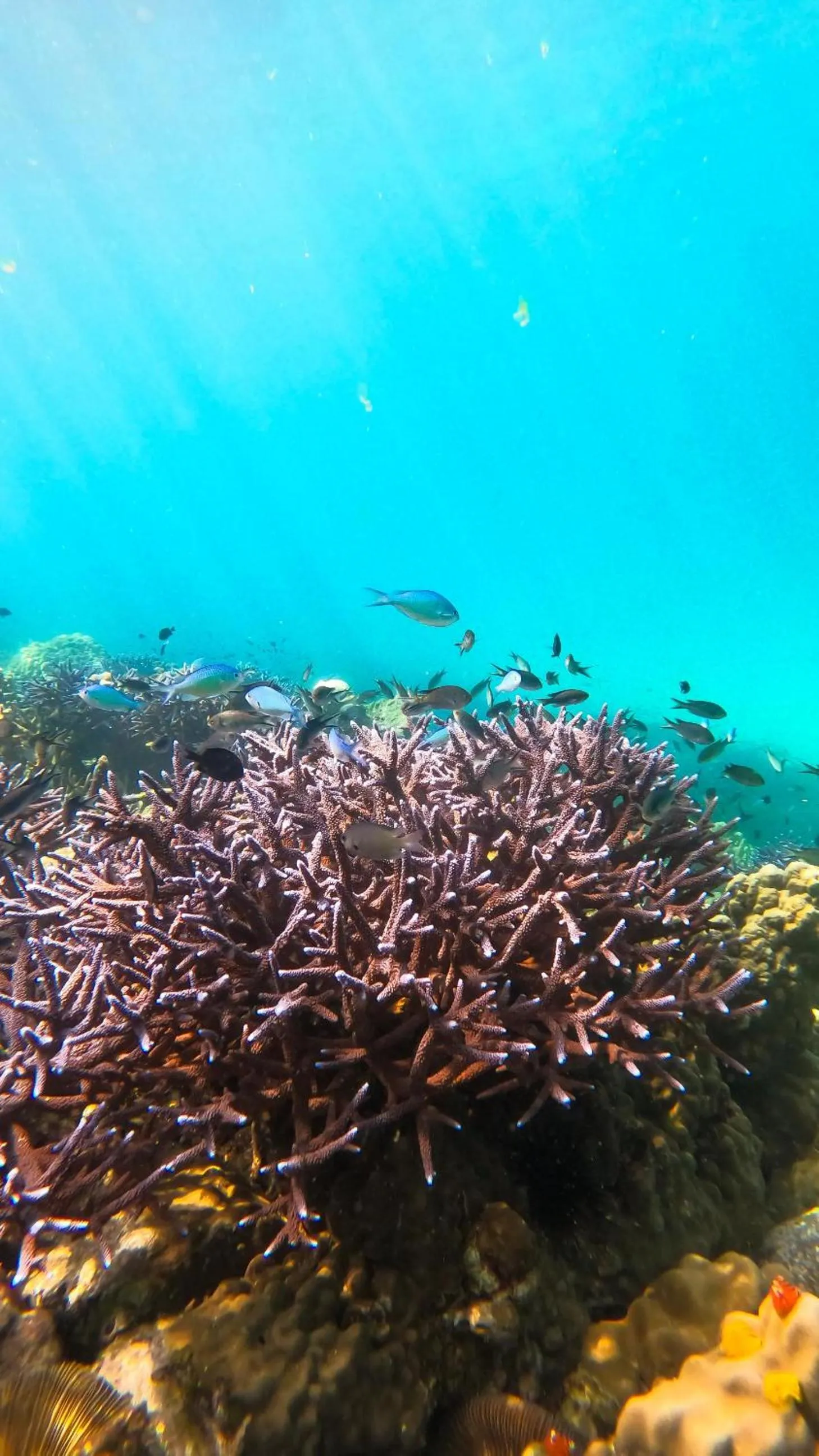 Kooncharaburi Resort - Koh Chang