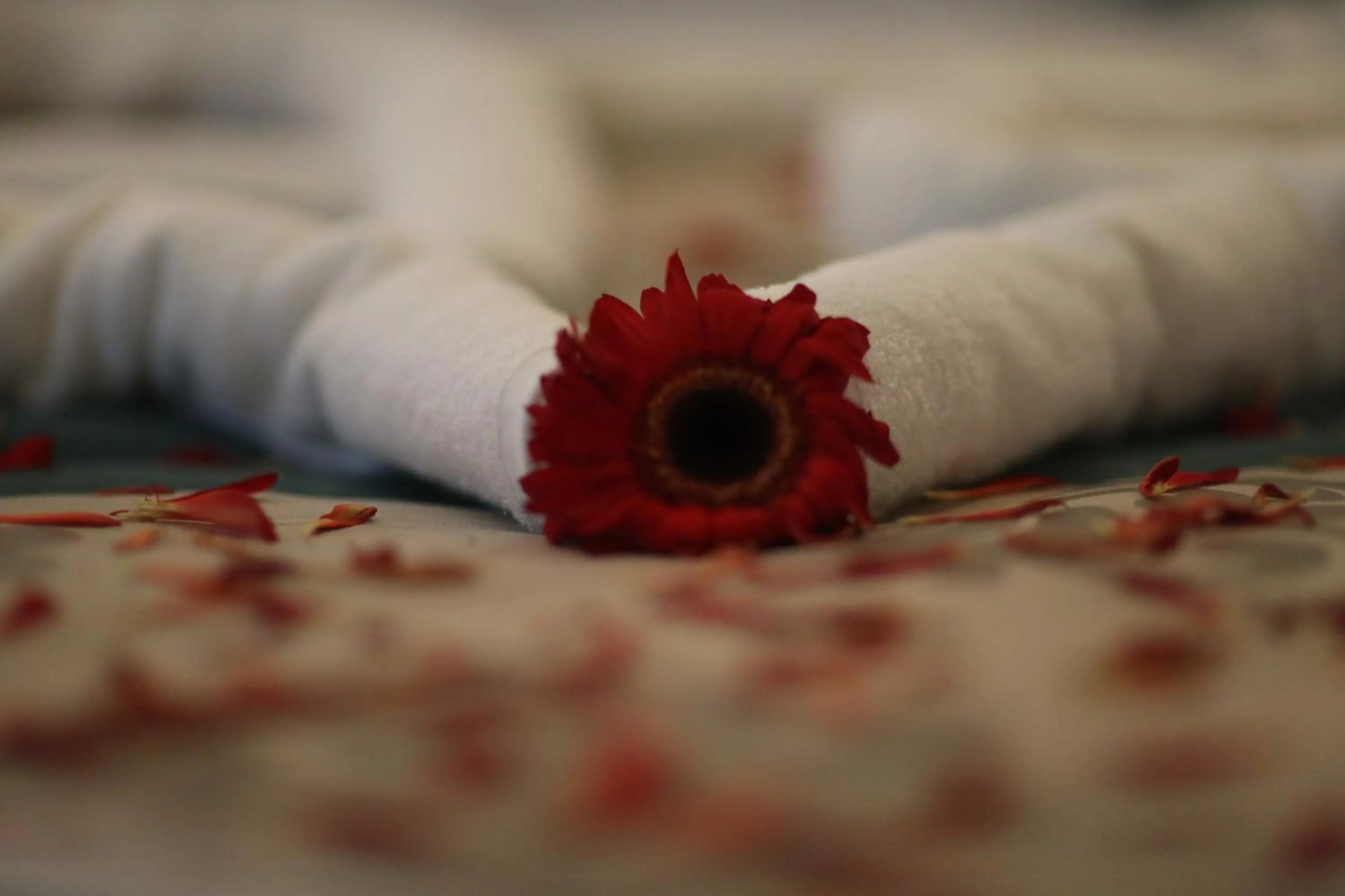 Other in Palestine Plaza Hotel