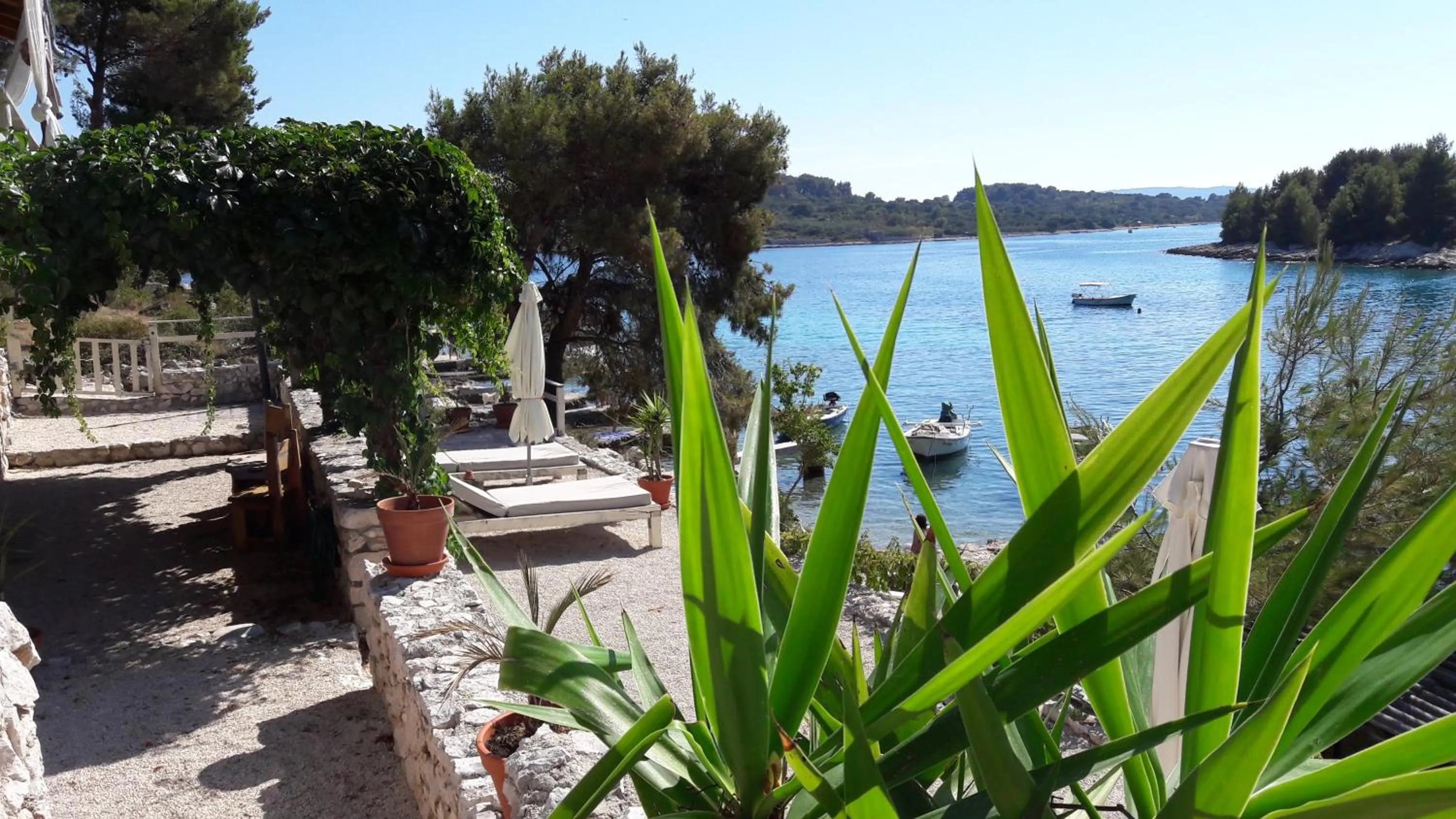 Garden in Holiday Home Villa Venta