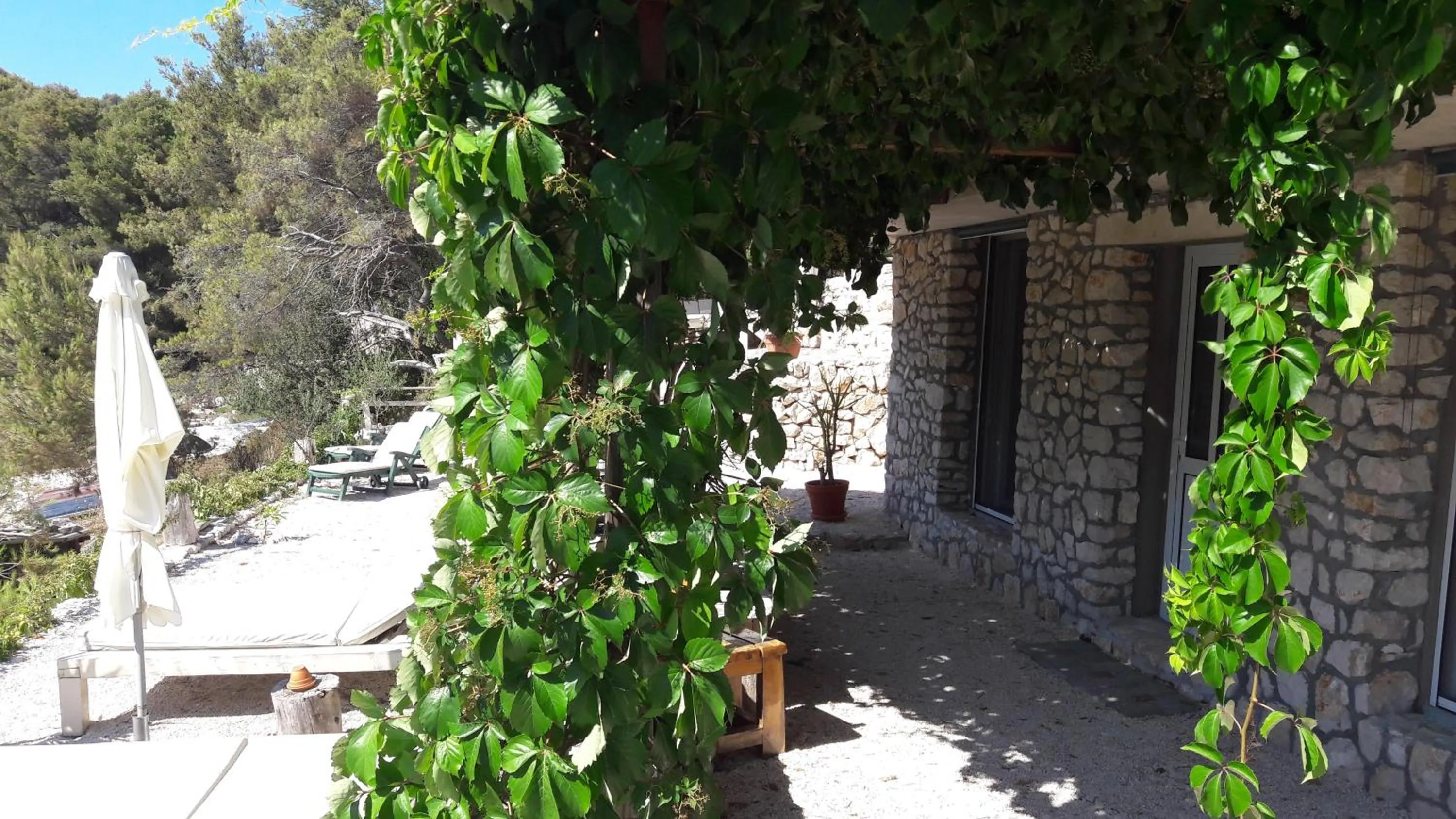 Garden in Holiday Home Villa Venta