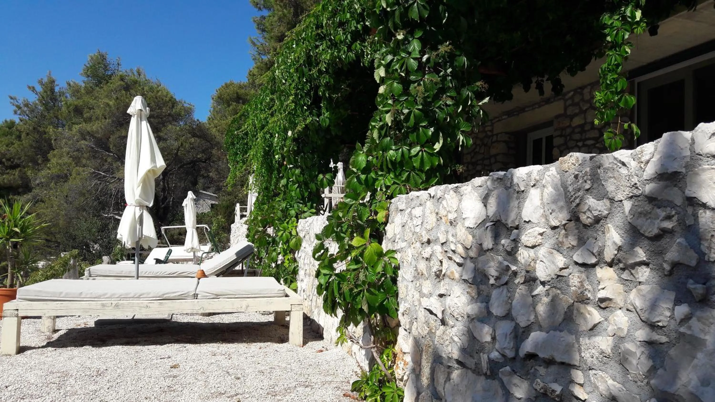 Garden in Holiday Home Villa Venta