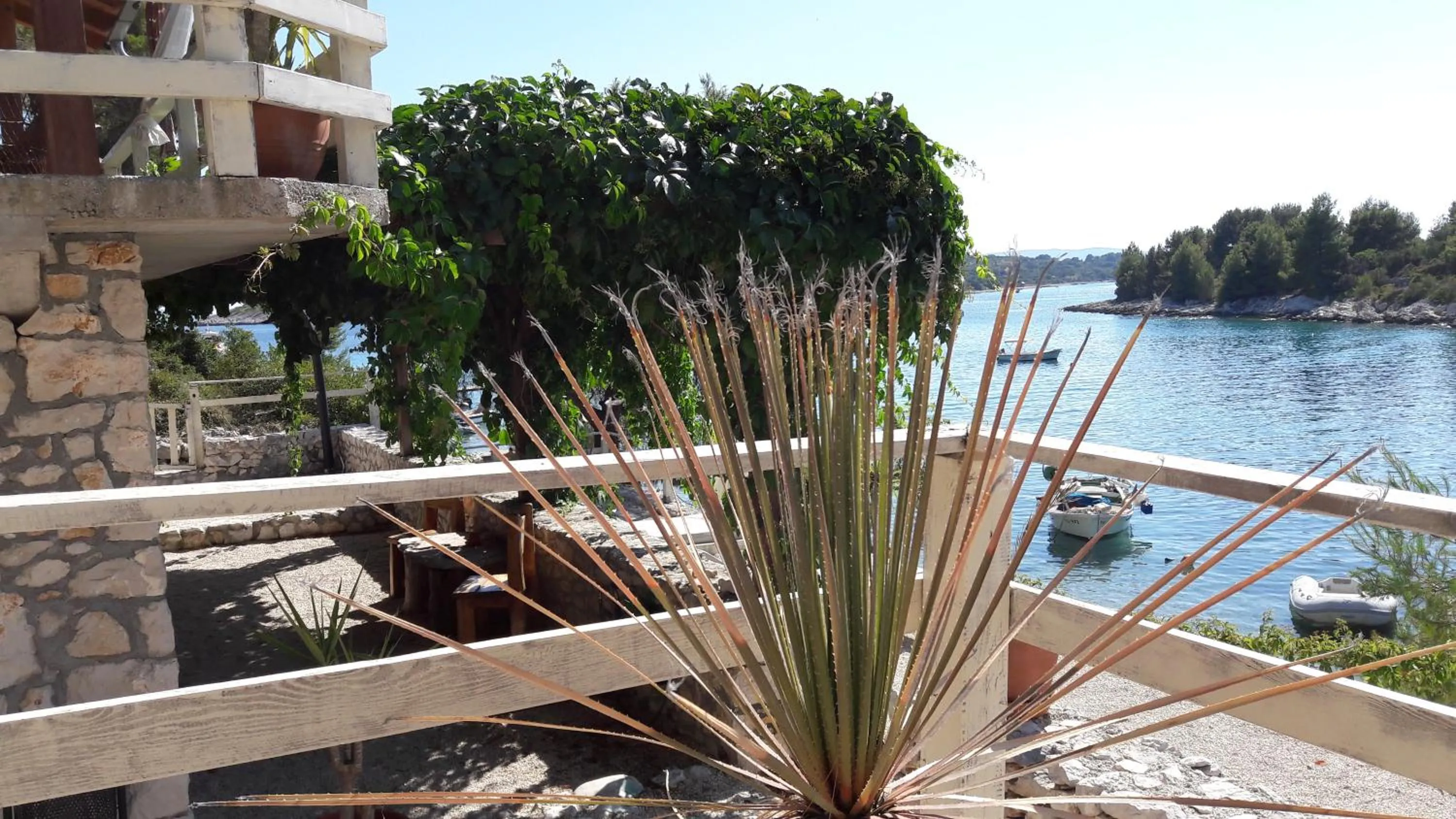 Garden in Holiday Home Villa Venta