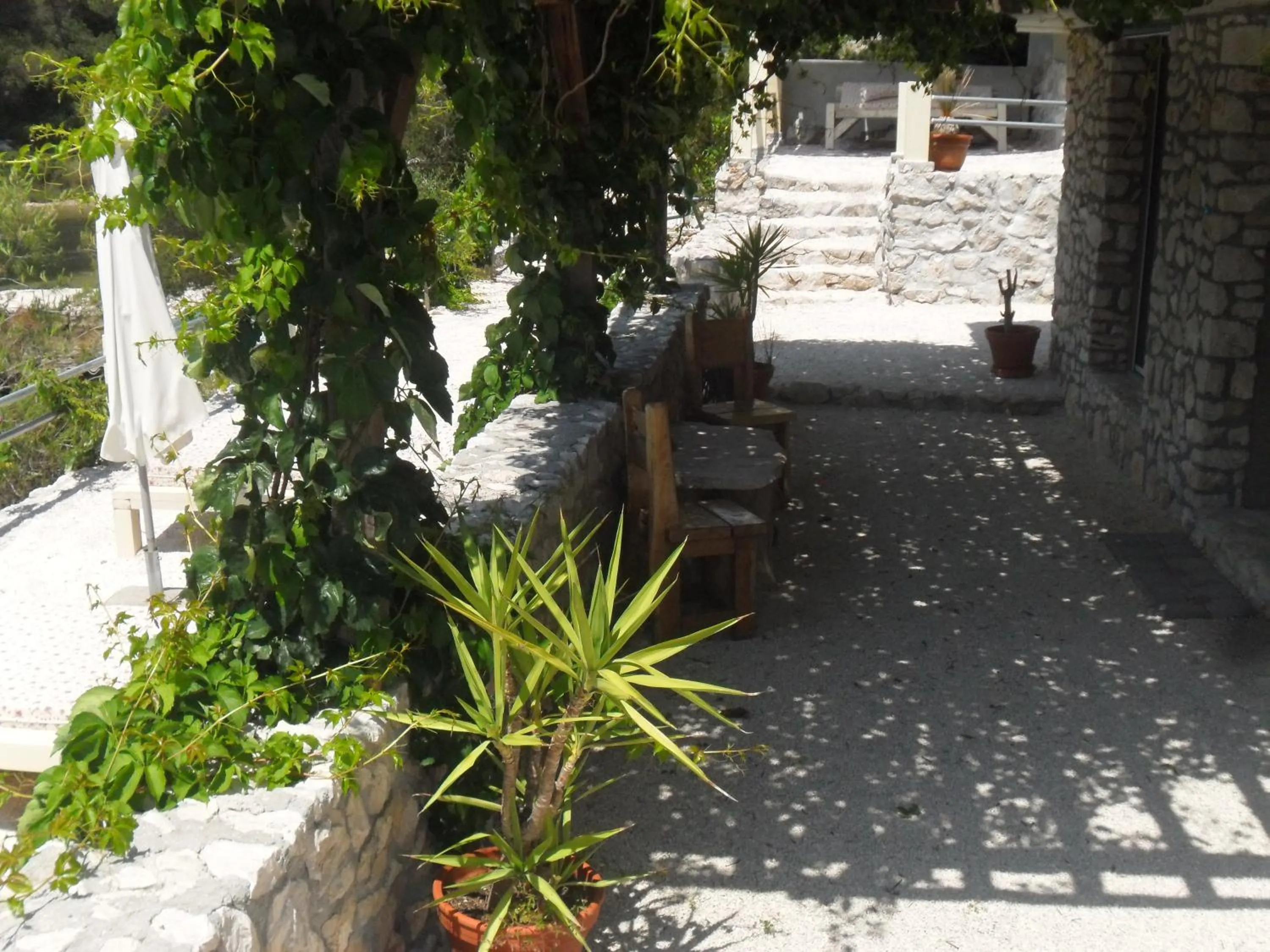 Garden in Holiday Home Villa Venta