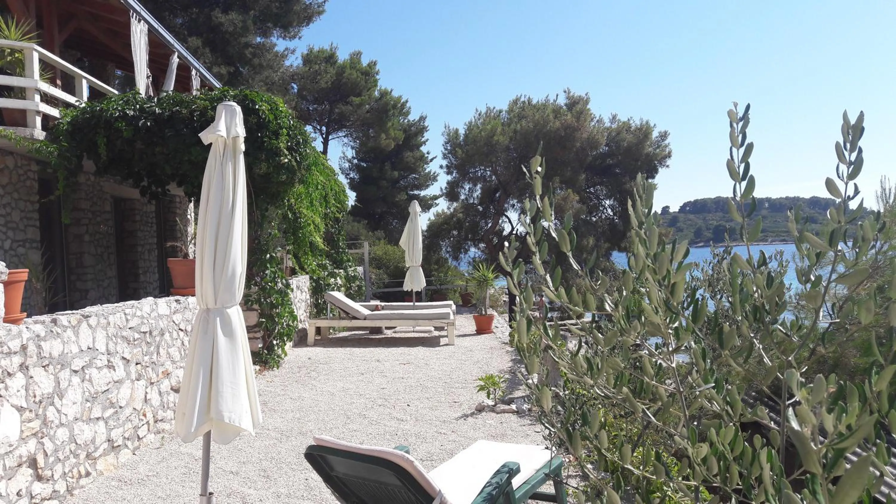 Garden in Holiday Home Villa Venta