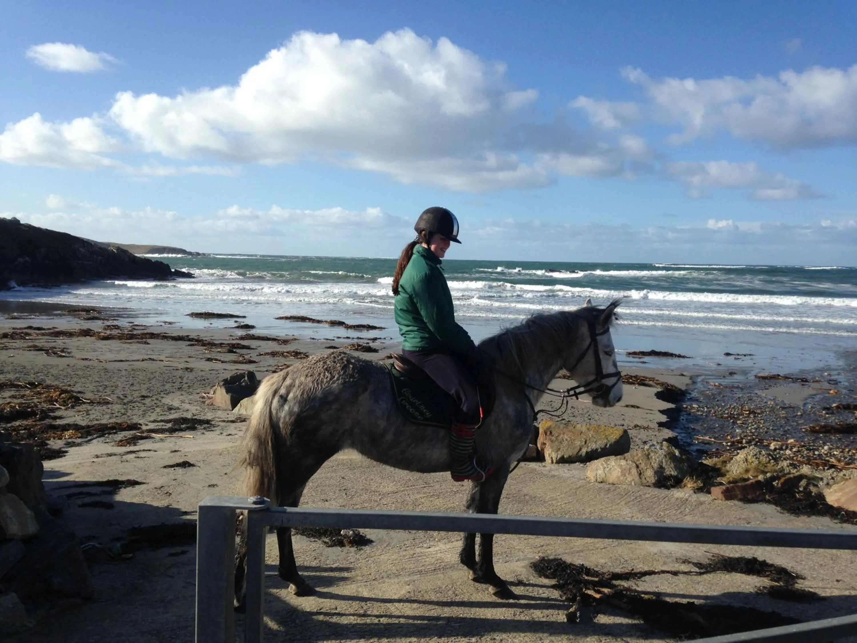 Animals in Inisean Ocean View