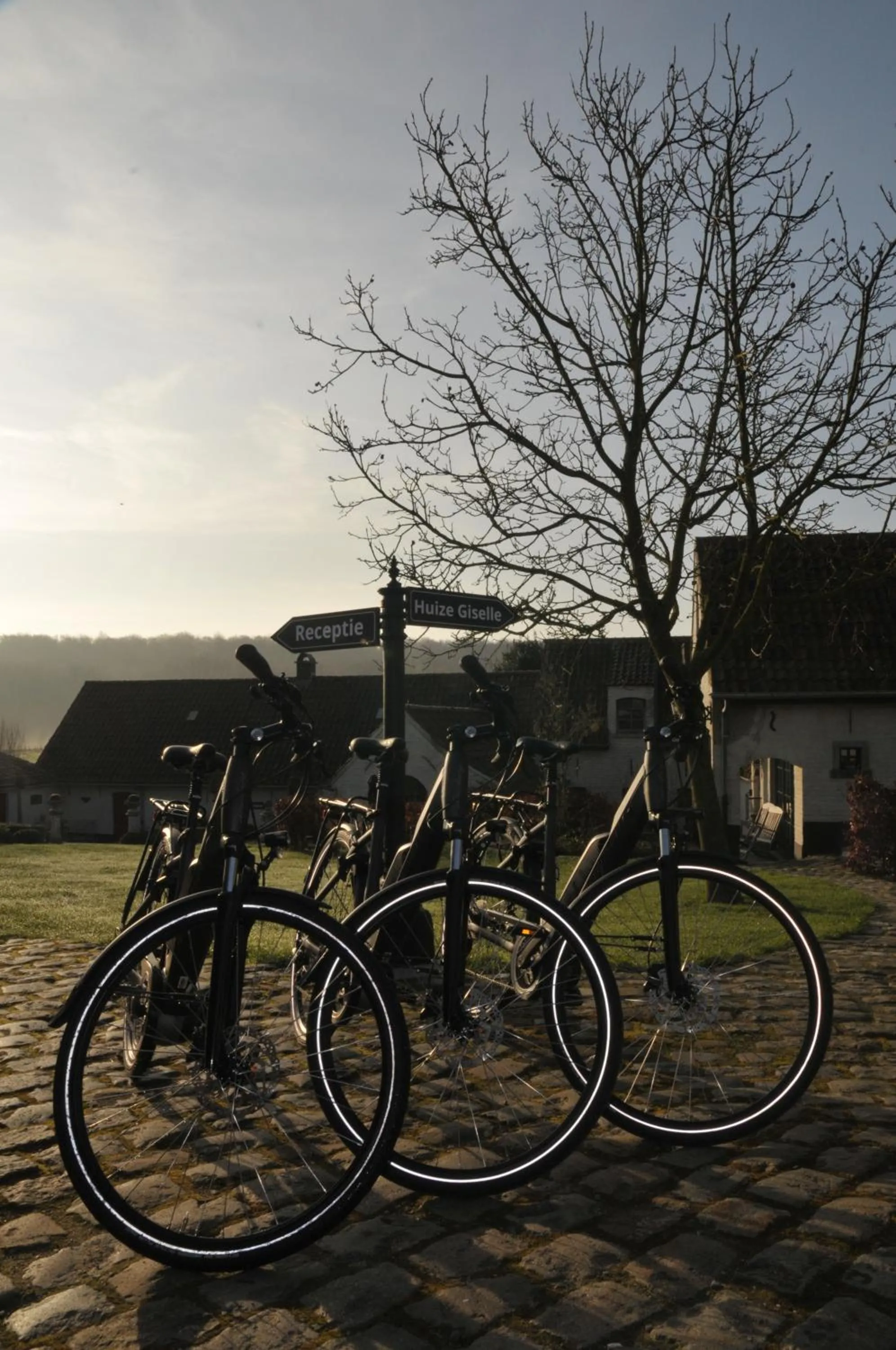 Cycling in B&B Het Stille Genoegen
