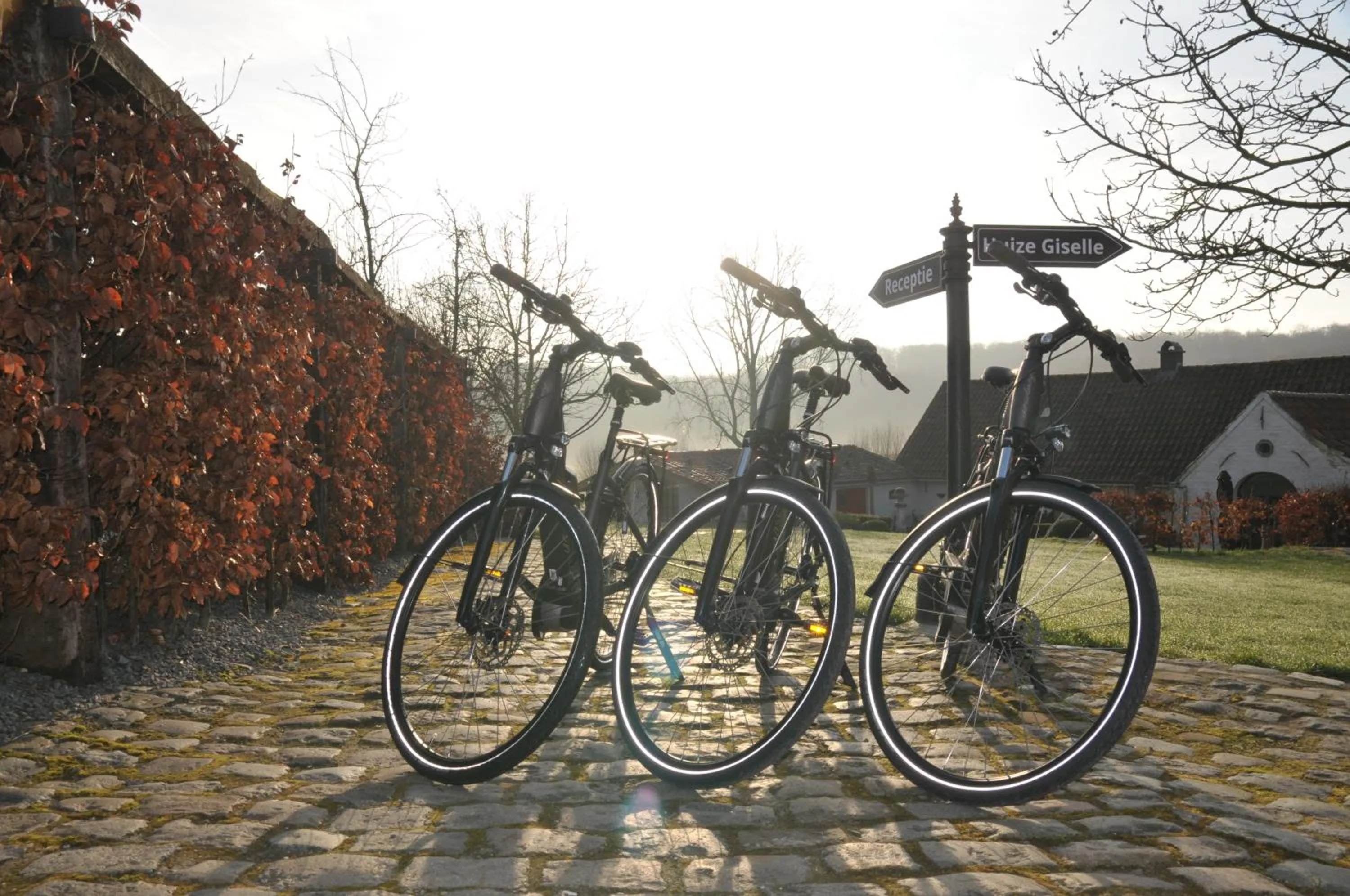 Cycling in B&B Het Stille Genoegen