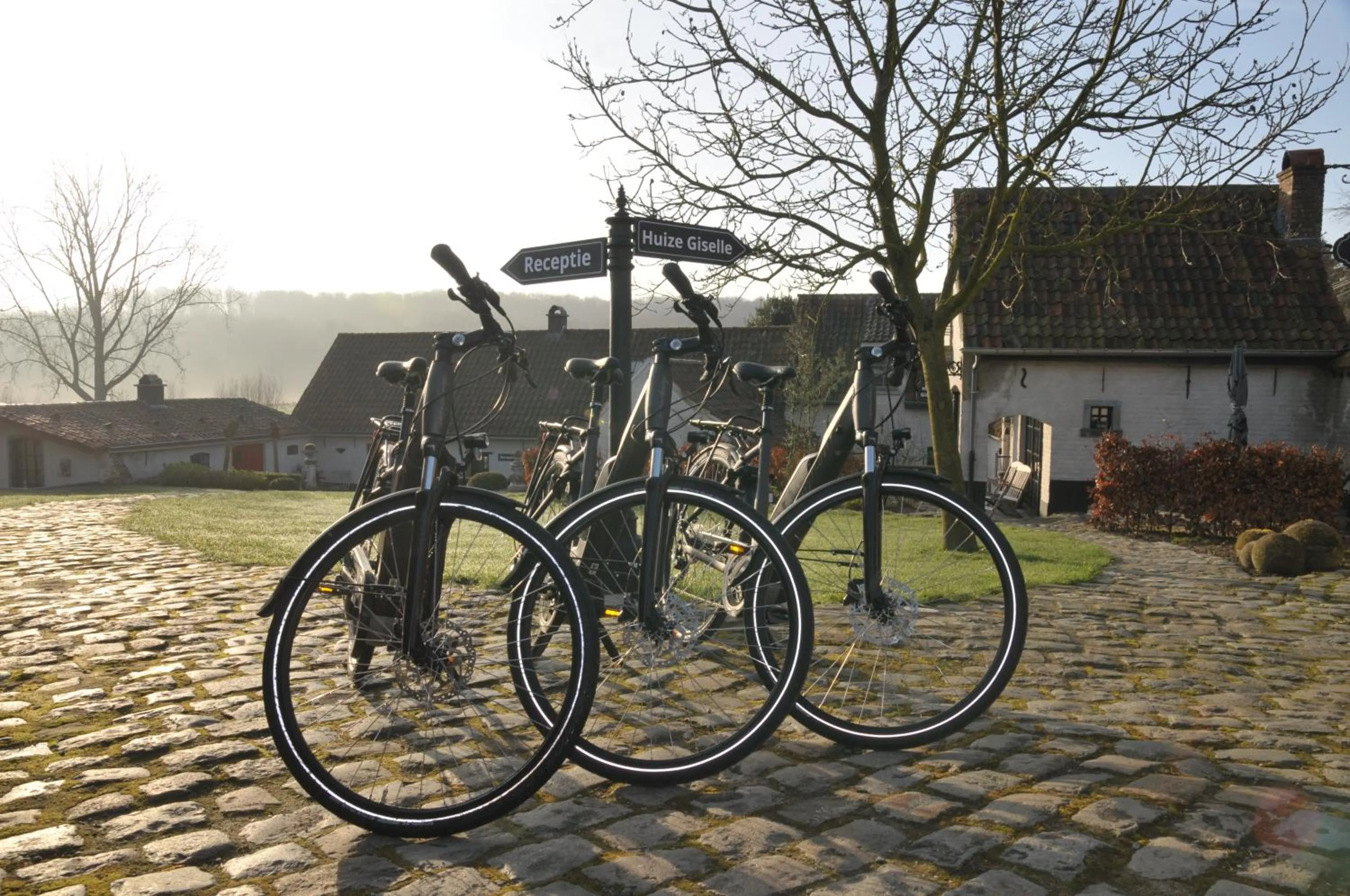 Cycling in B&B Het Stille Genoegen