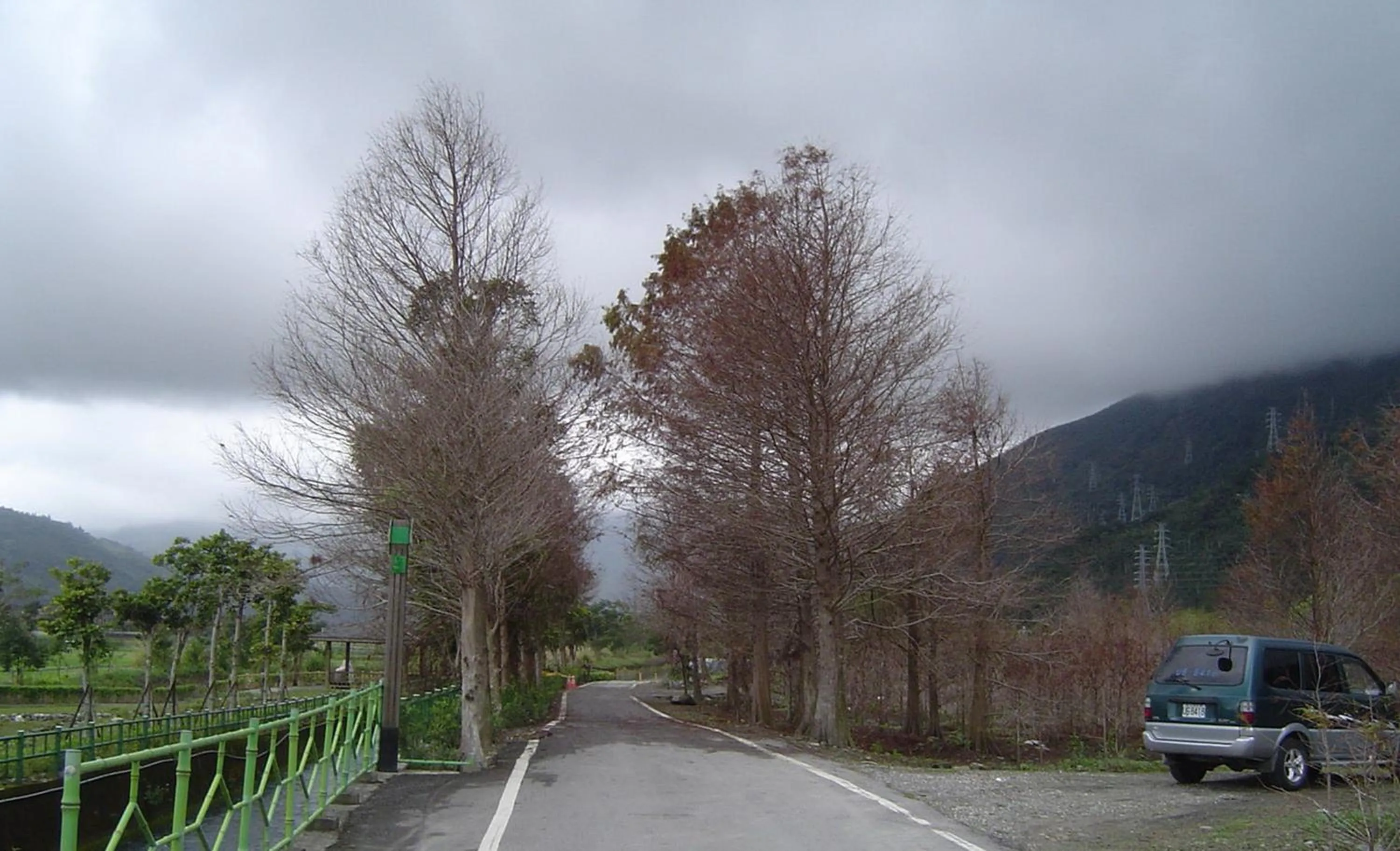 Staff in Evergreen Garden House