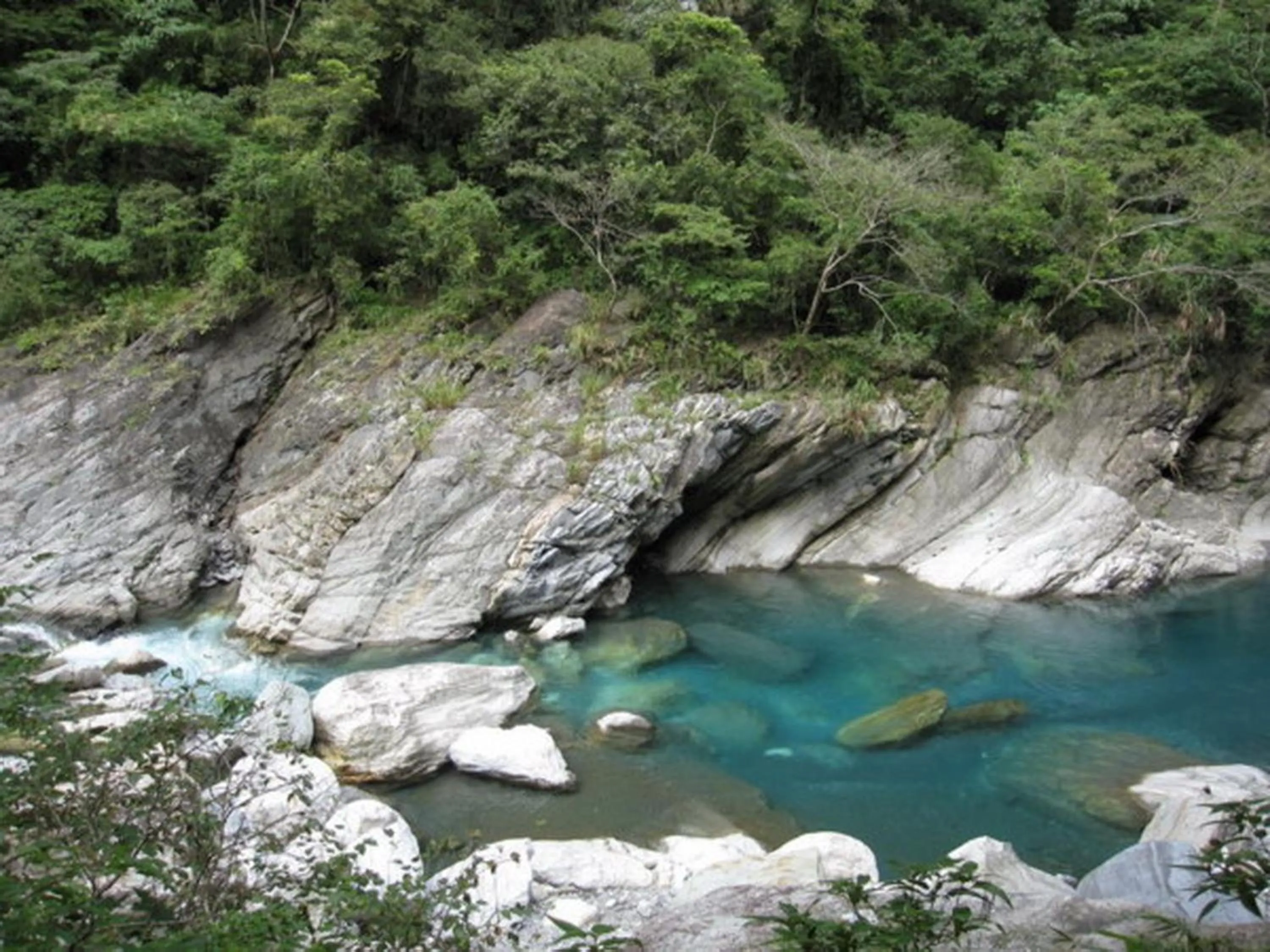 Natural landscape in Evergreen Garden House