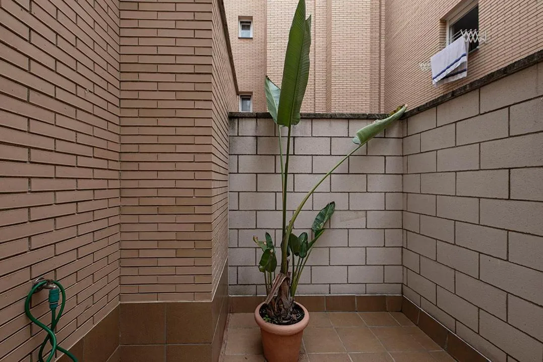 Patio in Apartamento Tíbula Sur Parking