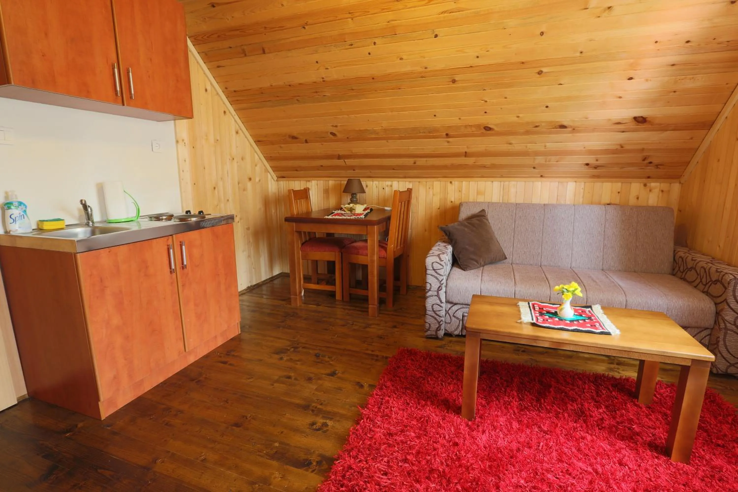 Kitchen or kitchenette in Apartments Peaks