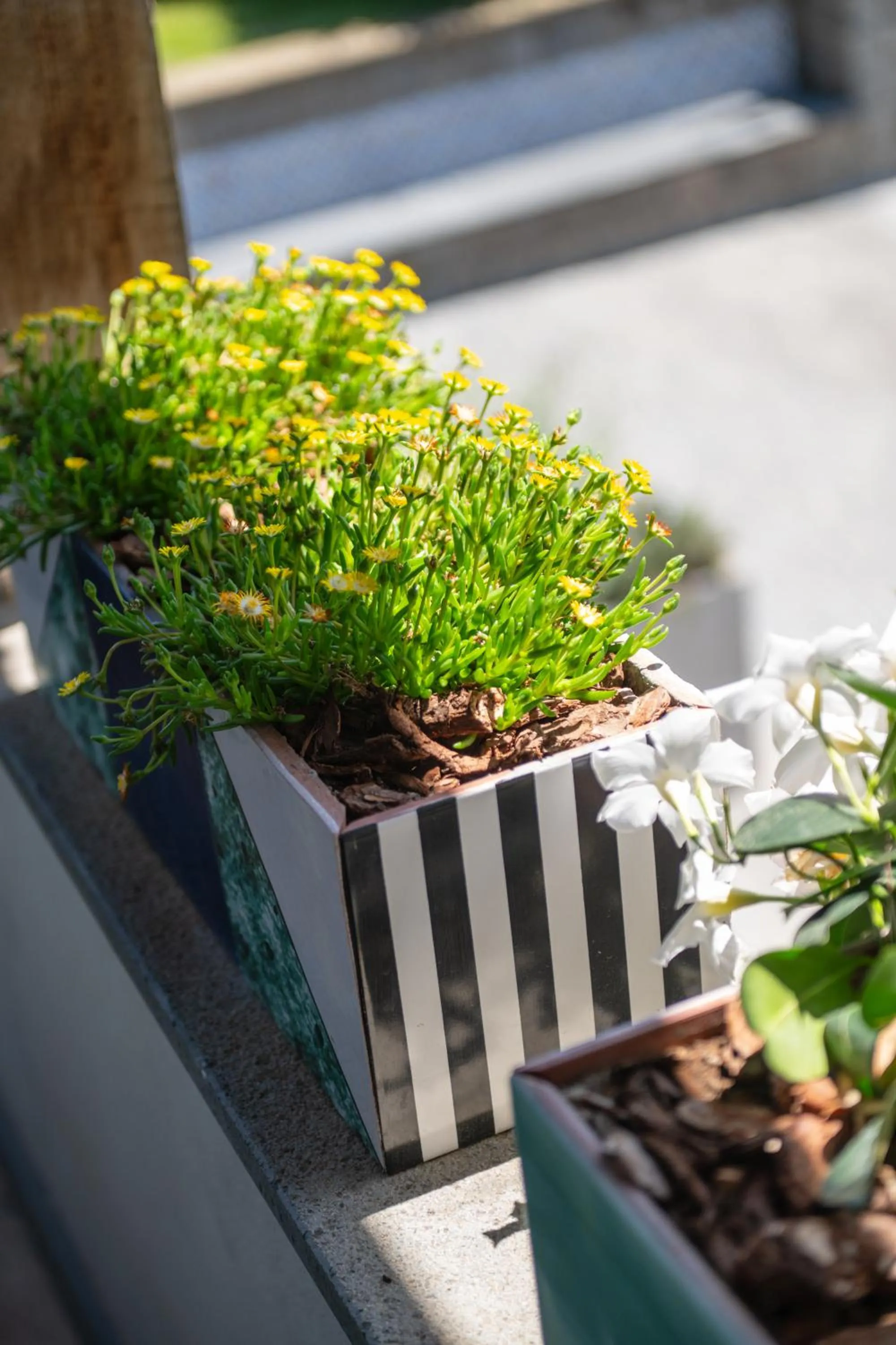 1912 Relais - Sorrento Coast