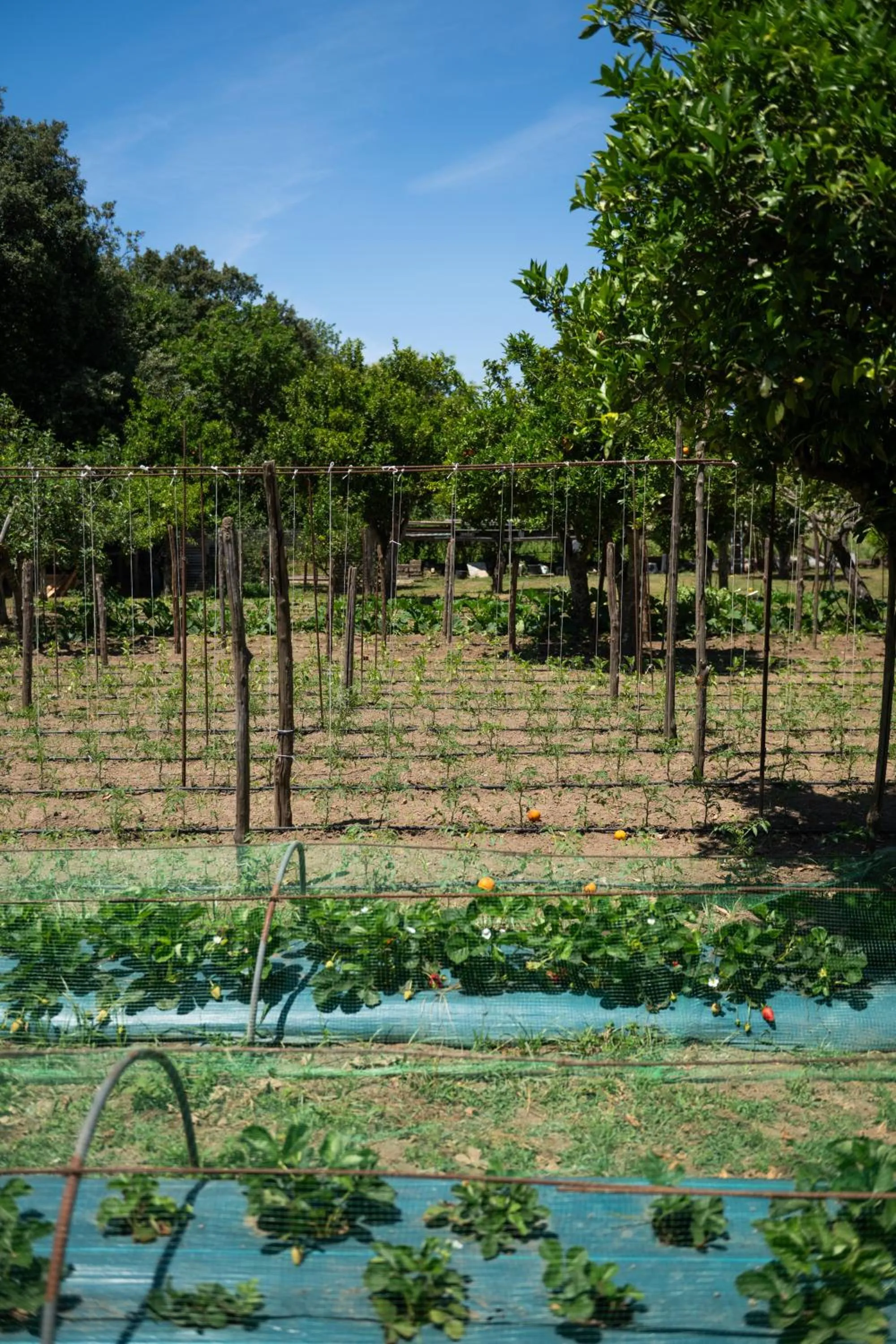 1912 Relais - Sorrento Coast