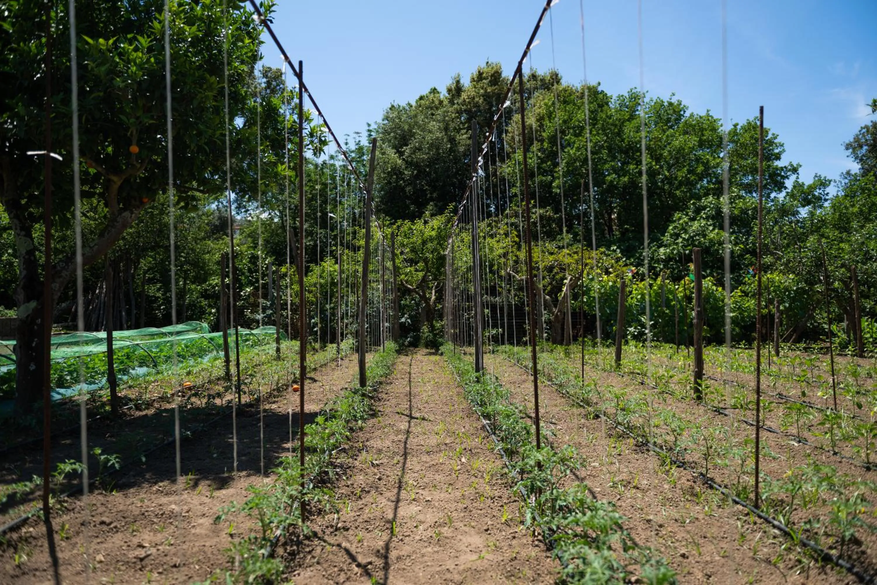 1912 Relais - Sorrento Coast