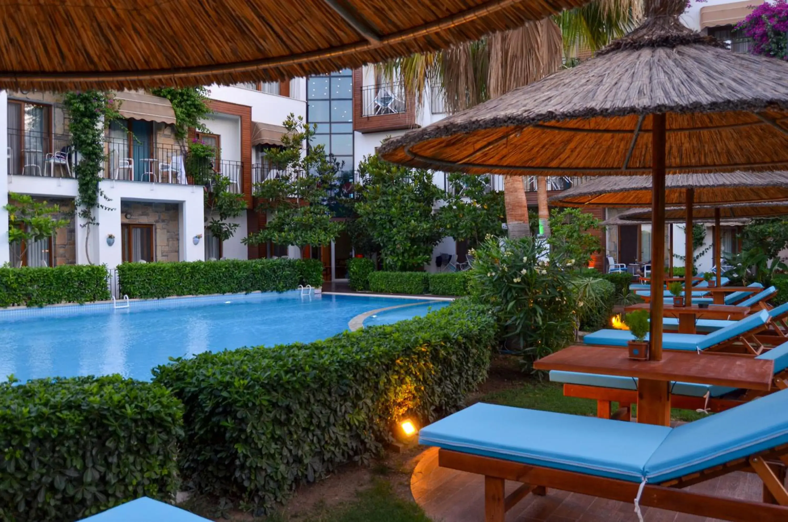 Liona Hotel & SPA Liona Hotel & SPA