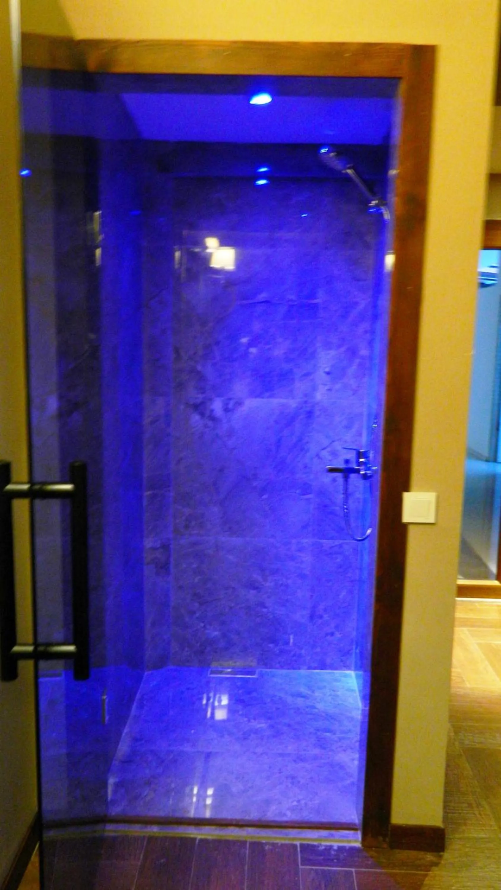 Spa and wellness centre/facilities in Liona Hotel & SPA