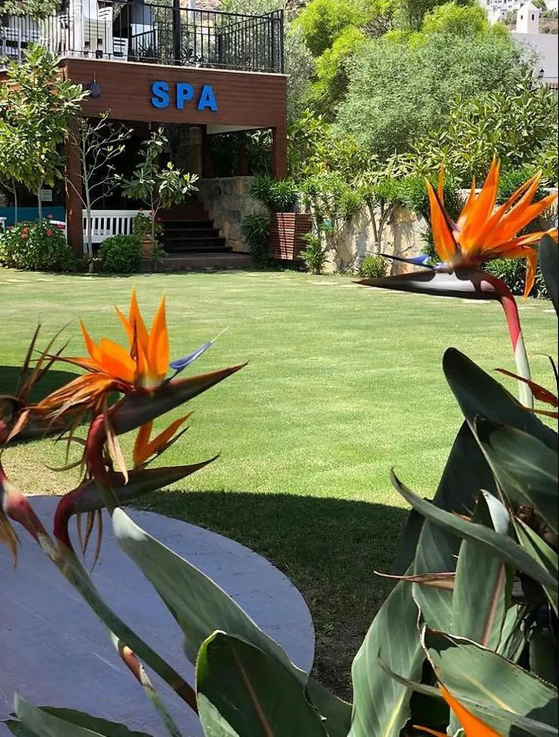 Spa and wellness centre/facilities in Liona Hotel & SPA