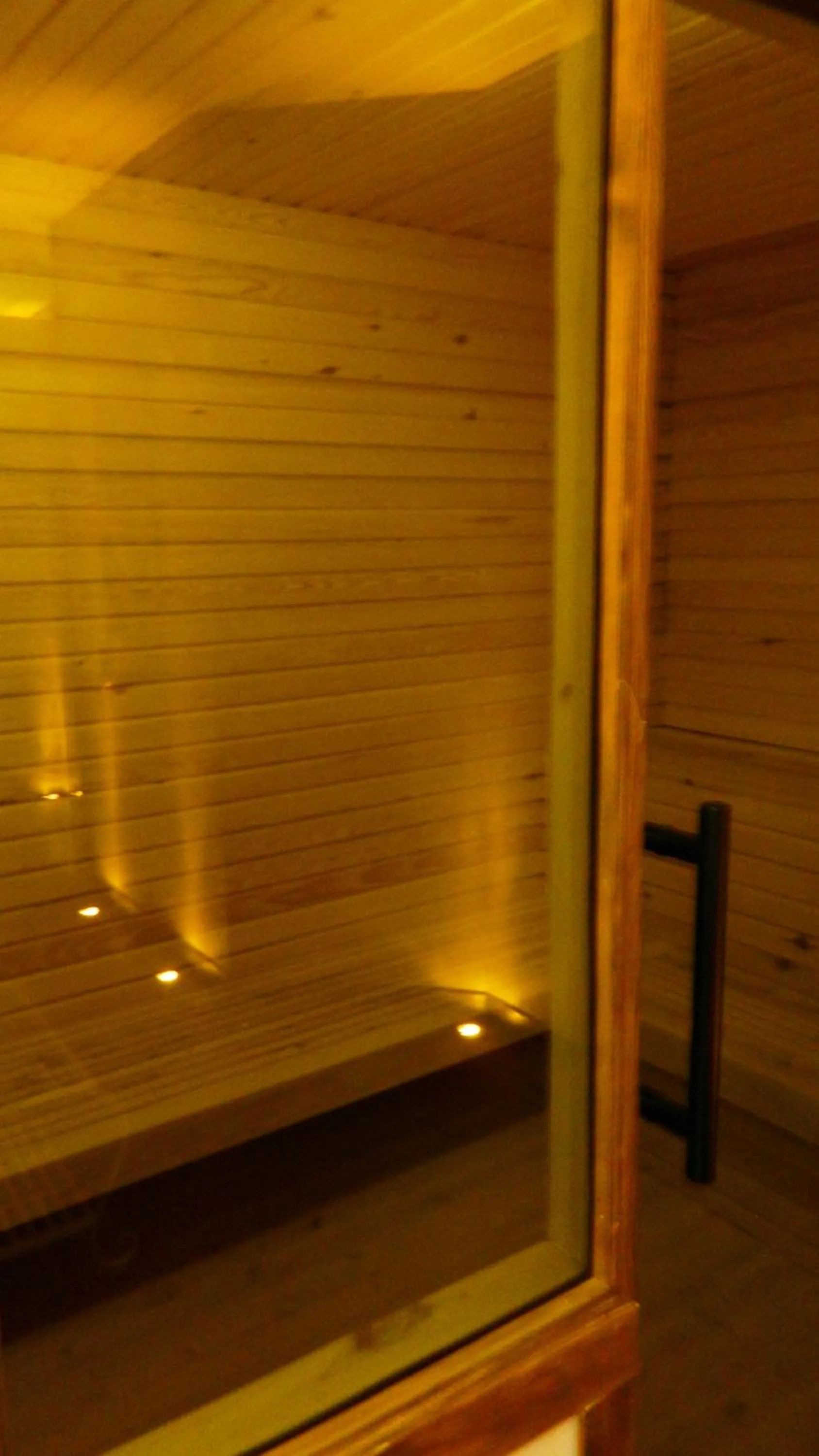 Sauna in Liona Hotel & SPA
