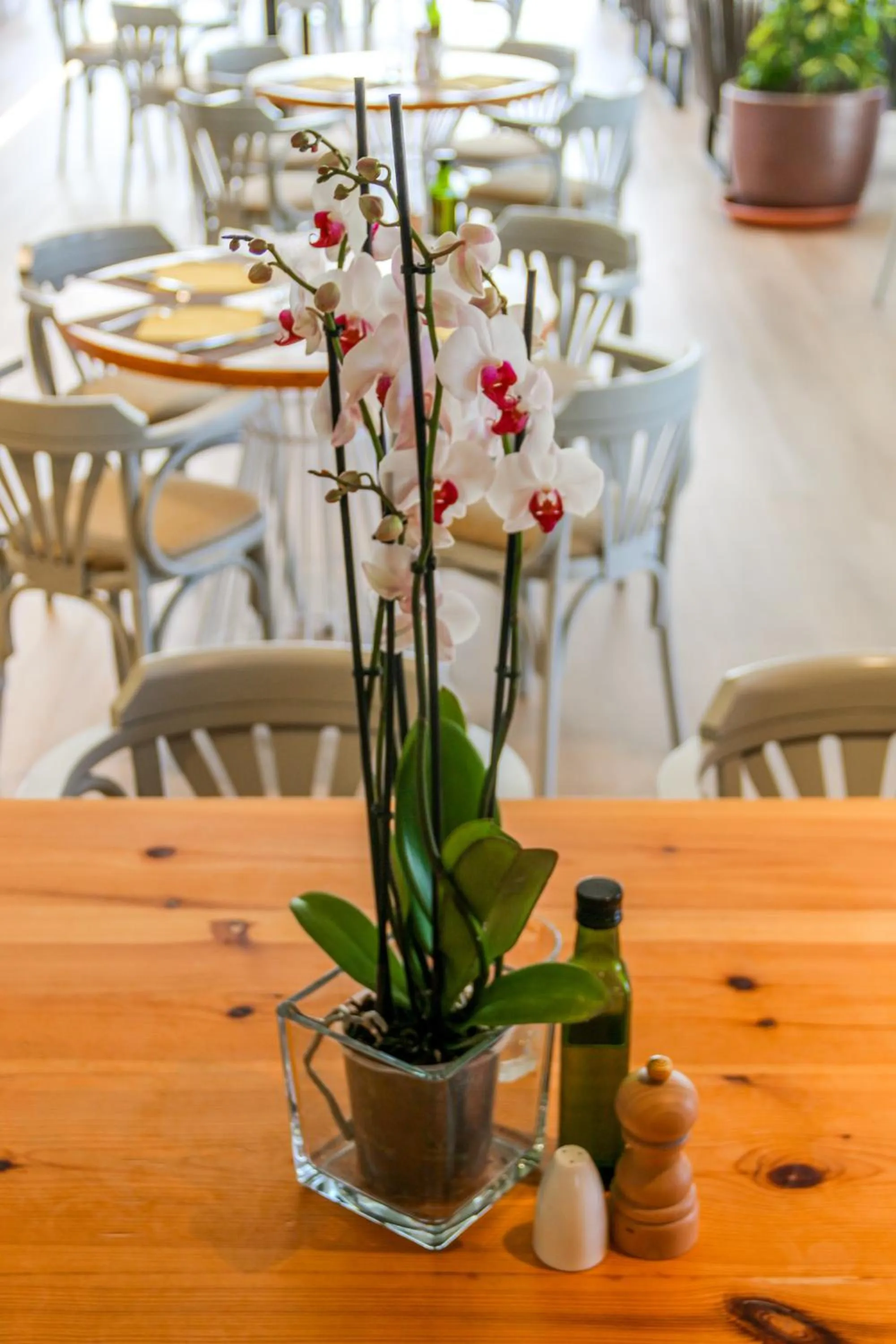 Lounge or bar in Duvabitat Apartments