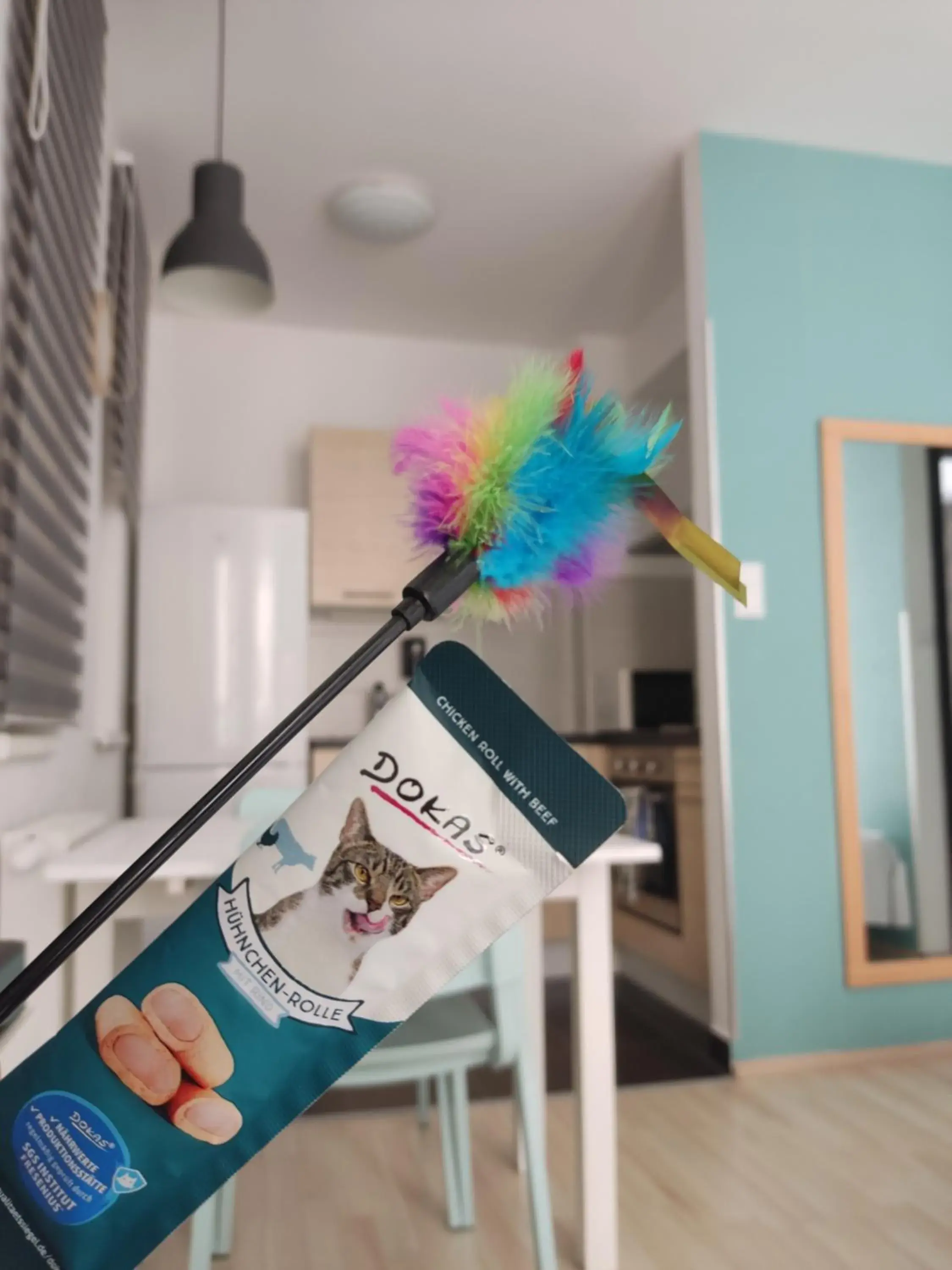 Pet Friendly Apartment in Corvin Center Suites Pet Friendly Apartment in Corvin Center Suites