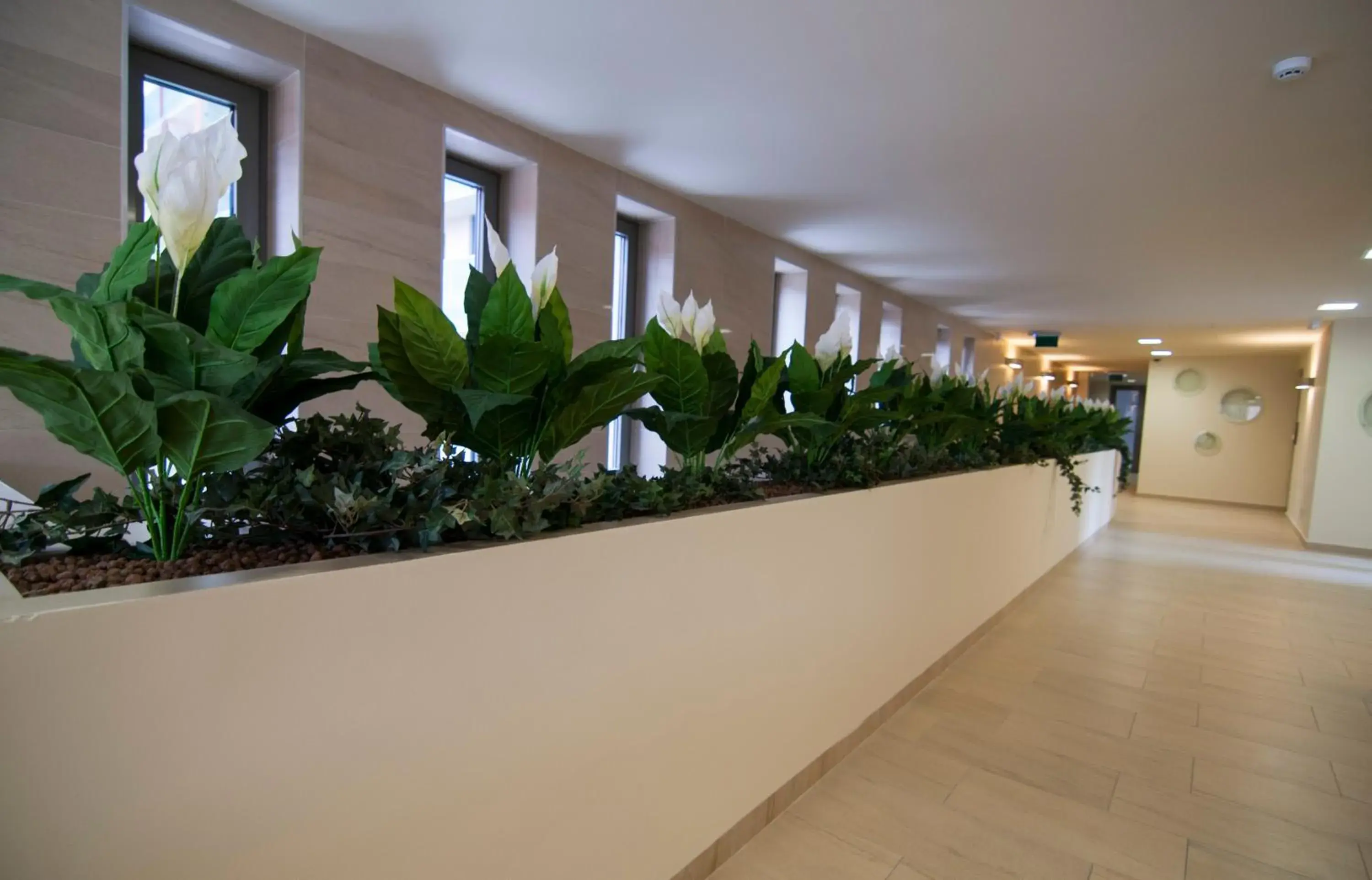 Facade/entrance in Corvin Center Suites Facade/entrance in Corvin Center Suites