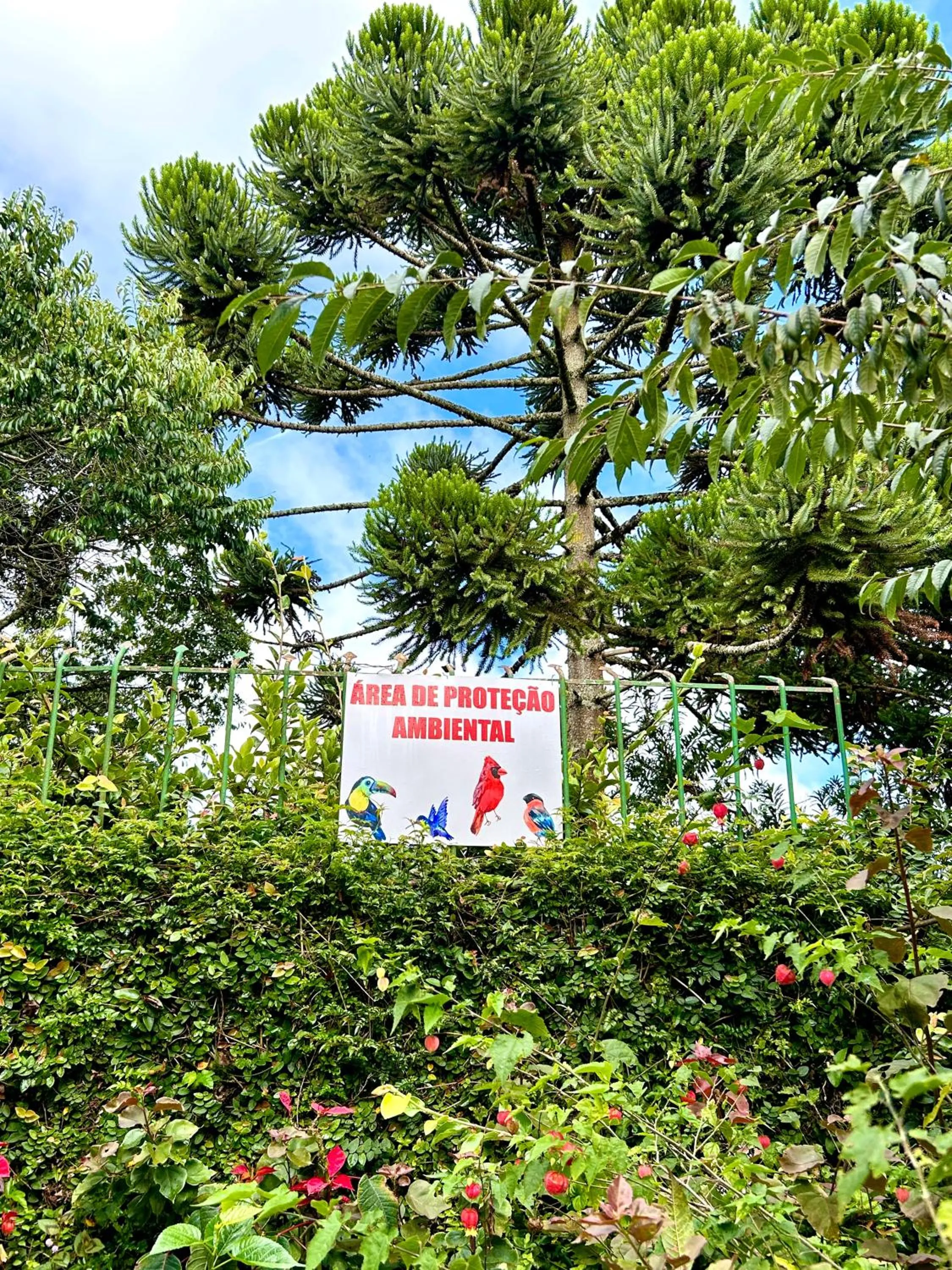 Pousada dos Esquilos