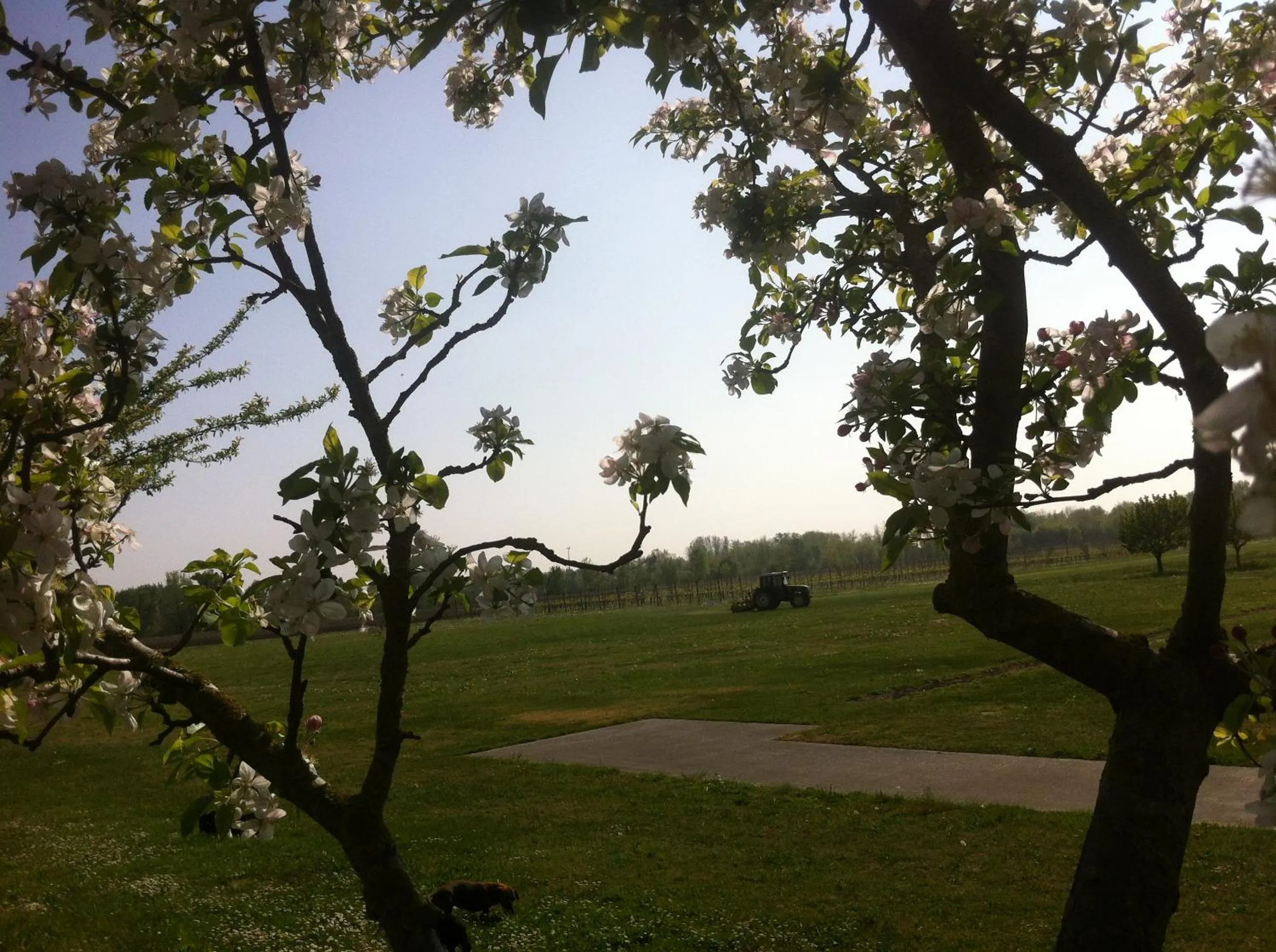 Activities in Agriturismo Al Casale