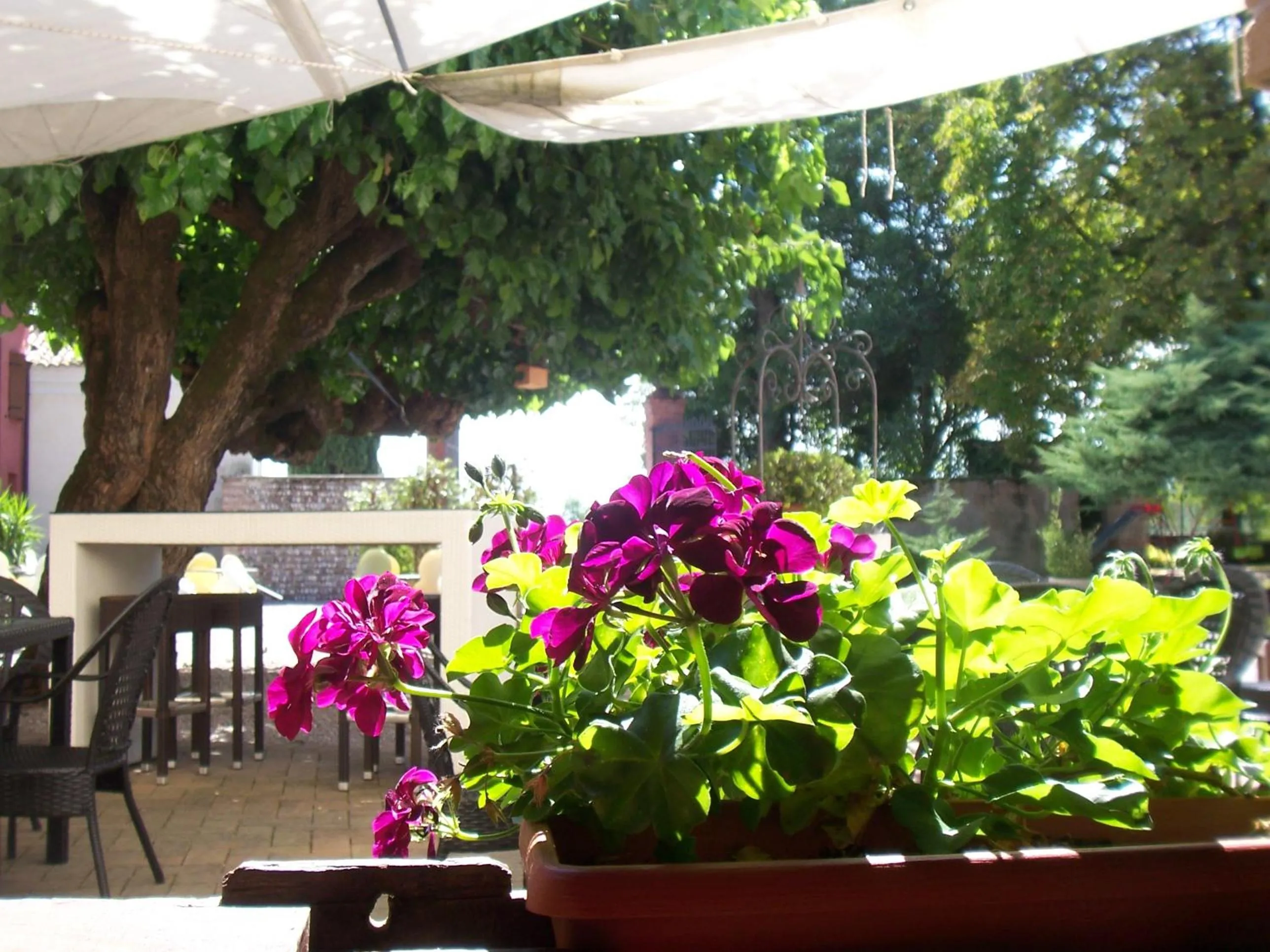 View (from property/room) in Agriturismo Al Casale