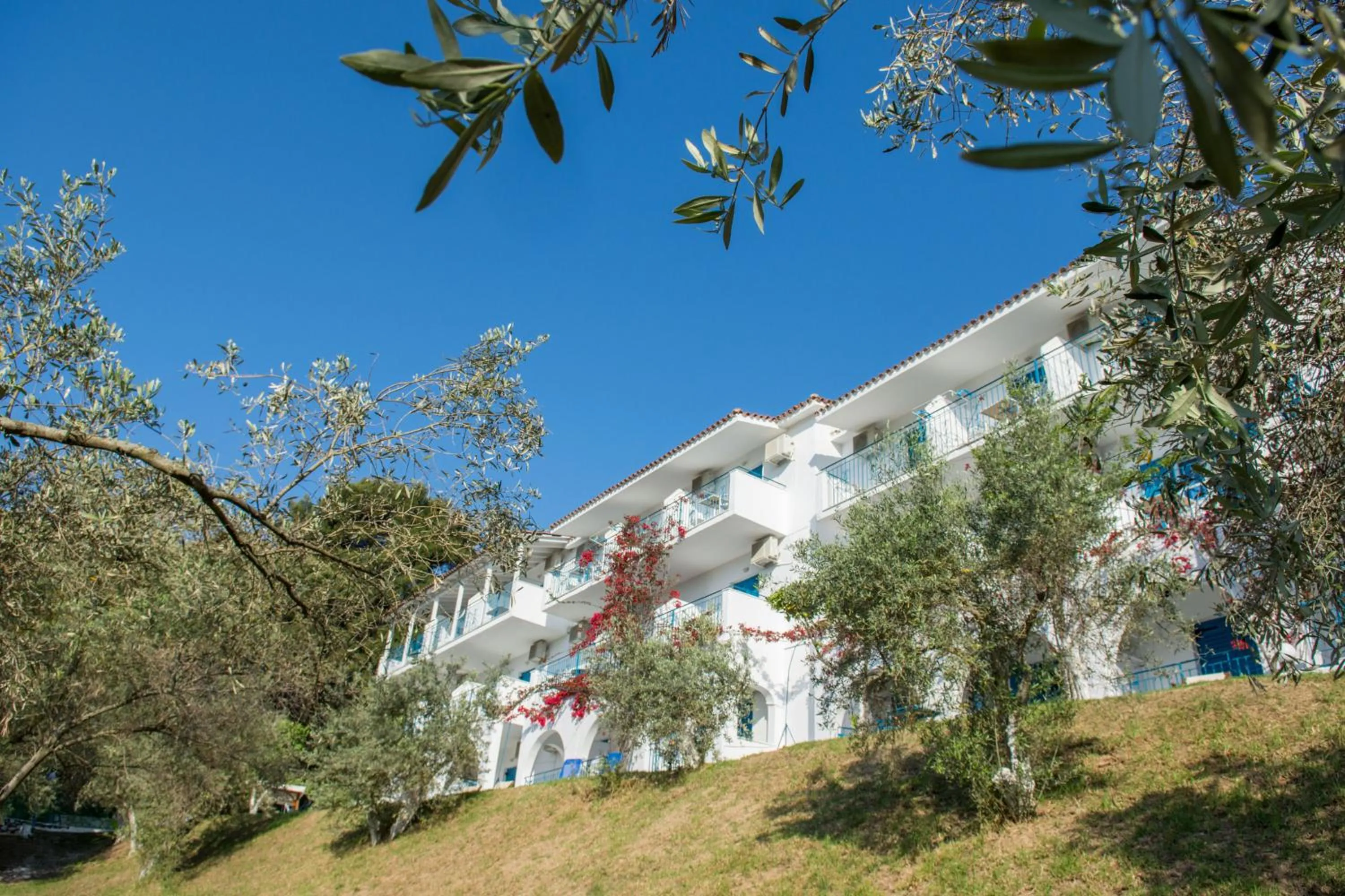 Property building in Aelia Studios