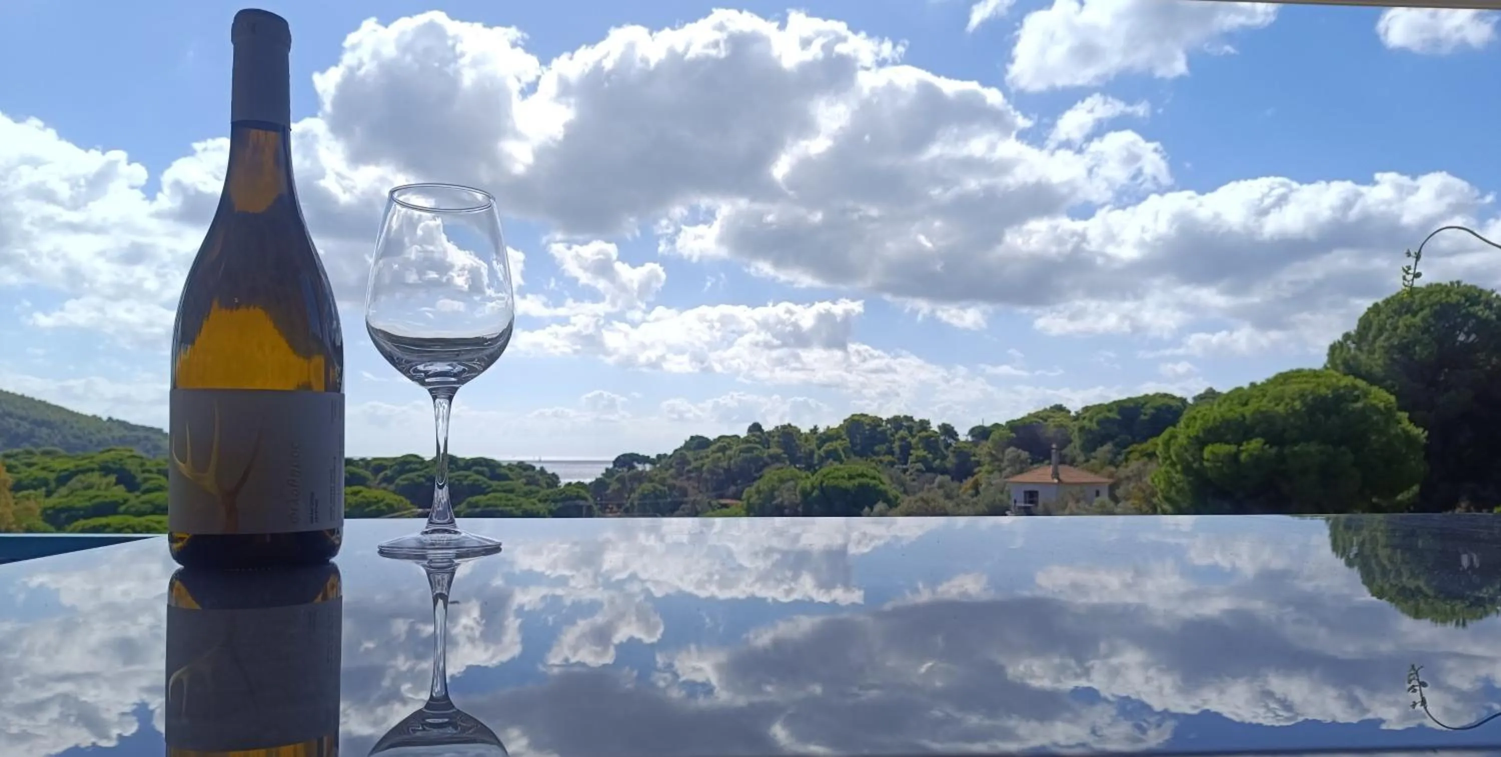 View (from property/room) in Aelia Studios