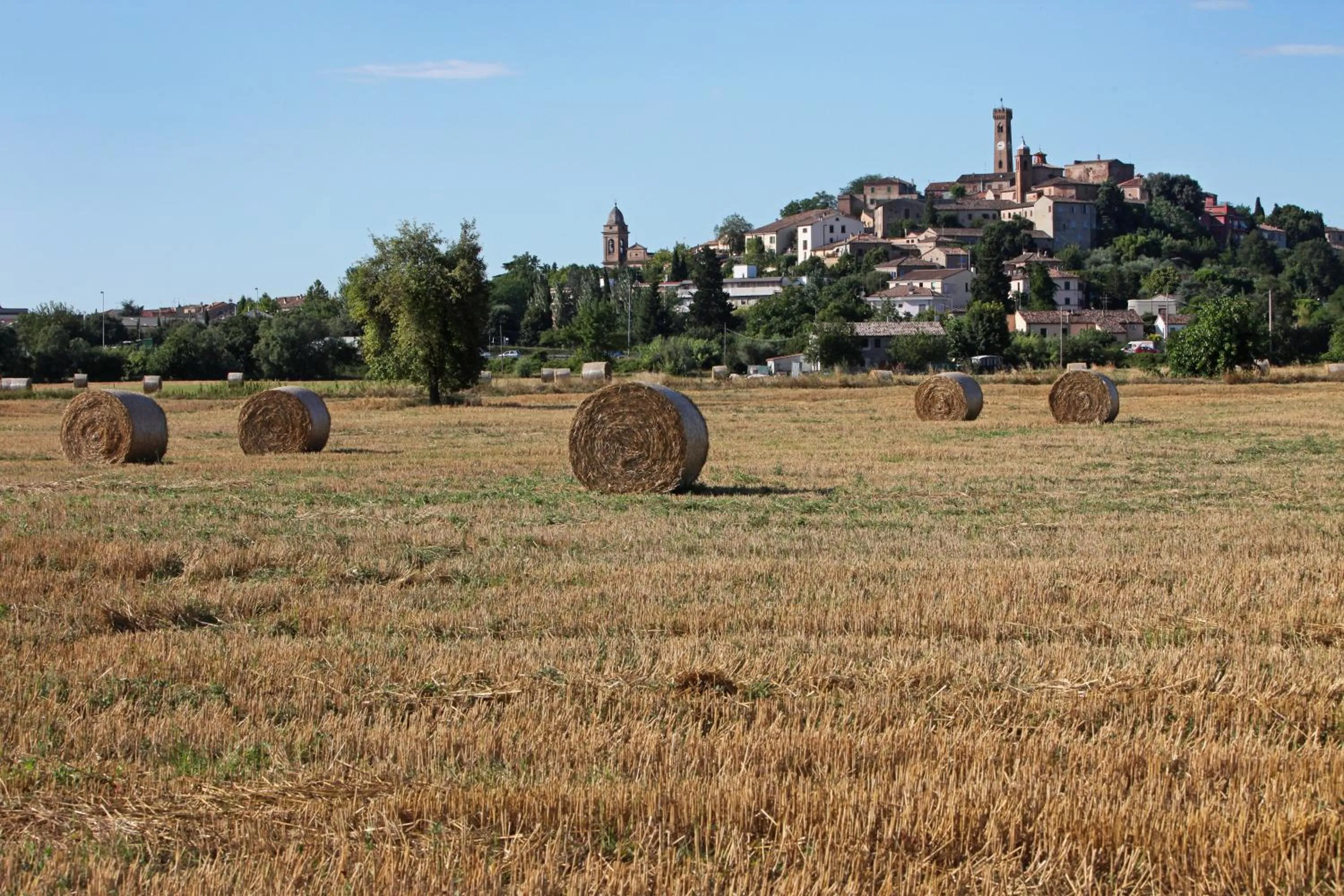 Natural landscape in Hotel Barca D'Oro