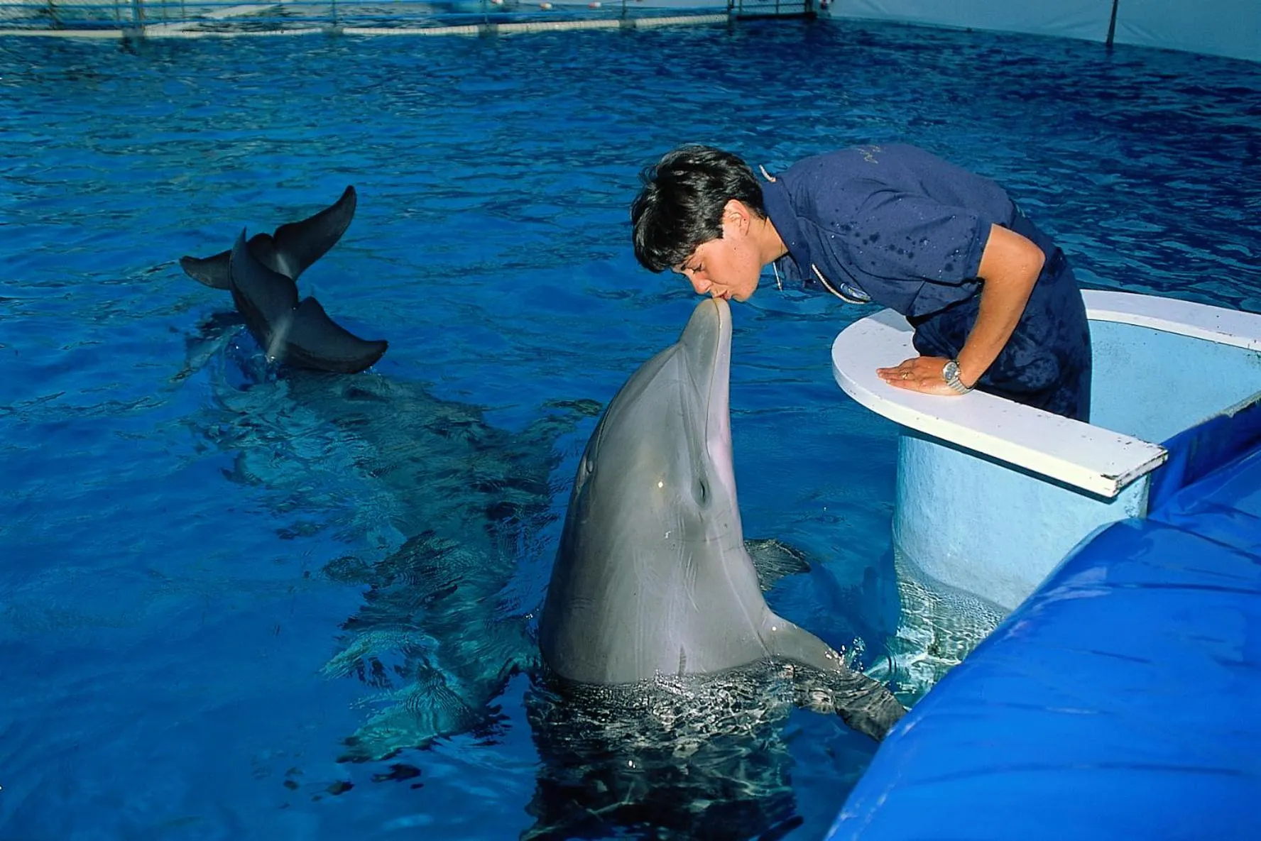 Nearby landmark in Hotel Barca D'Oro