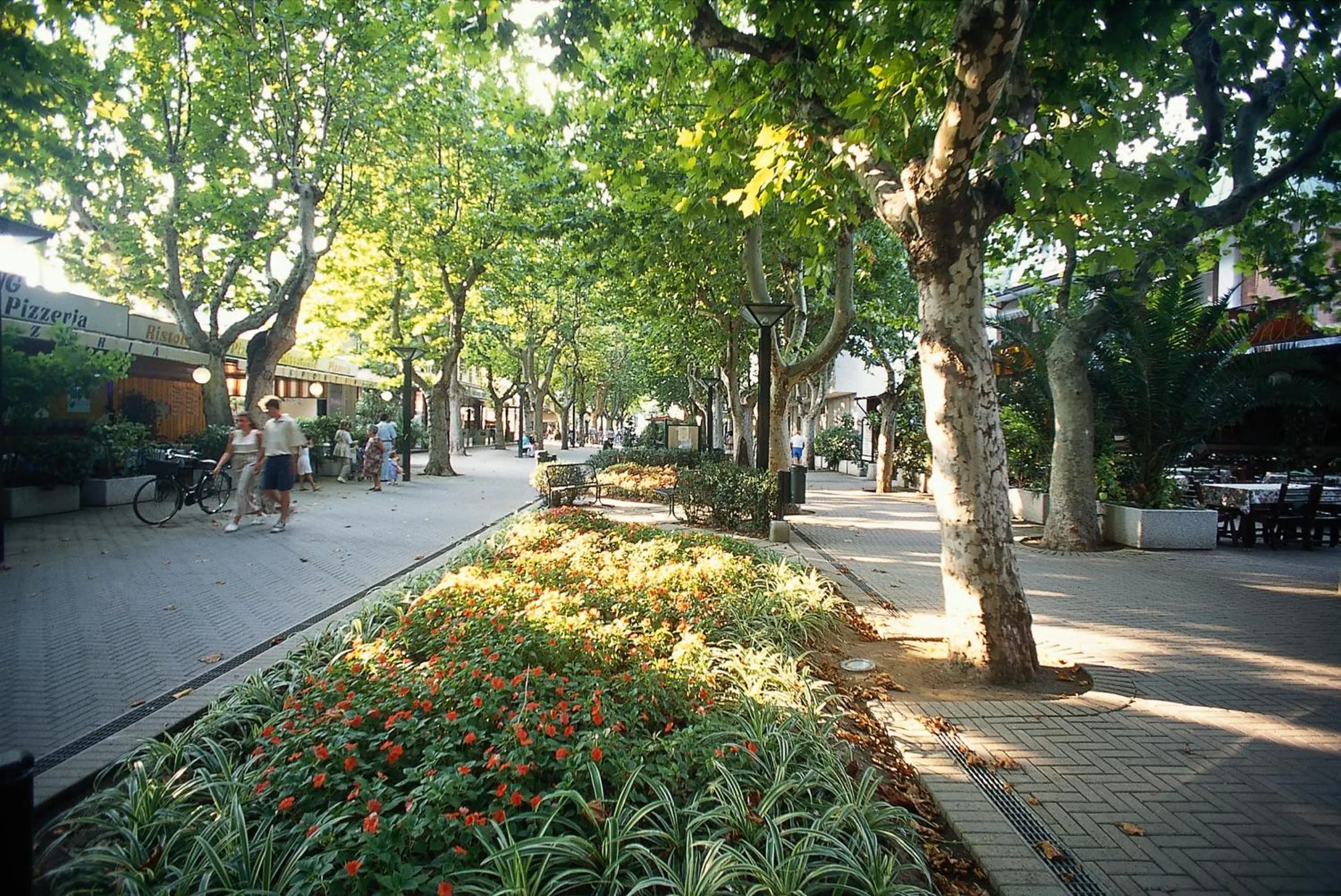 Neighbourhood in Hotel Barca D'Oro