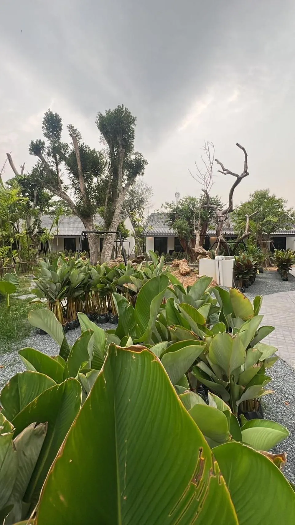 Garden in Trat Tara Boutique Hotel