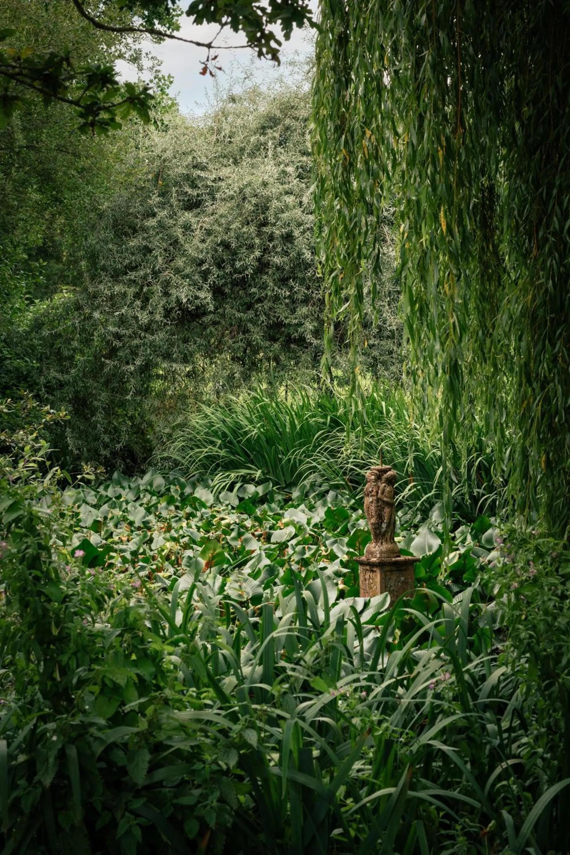 Garden in Rookery Hall Hotel & Spa